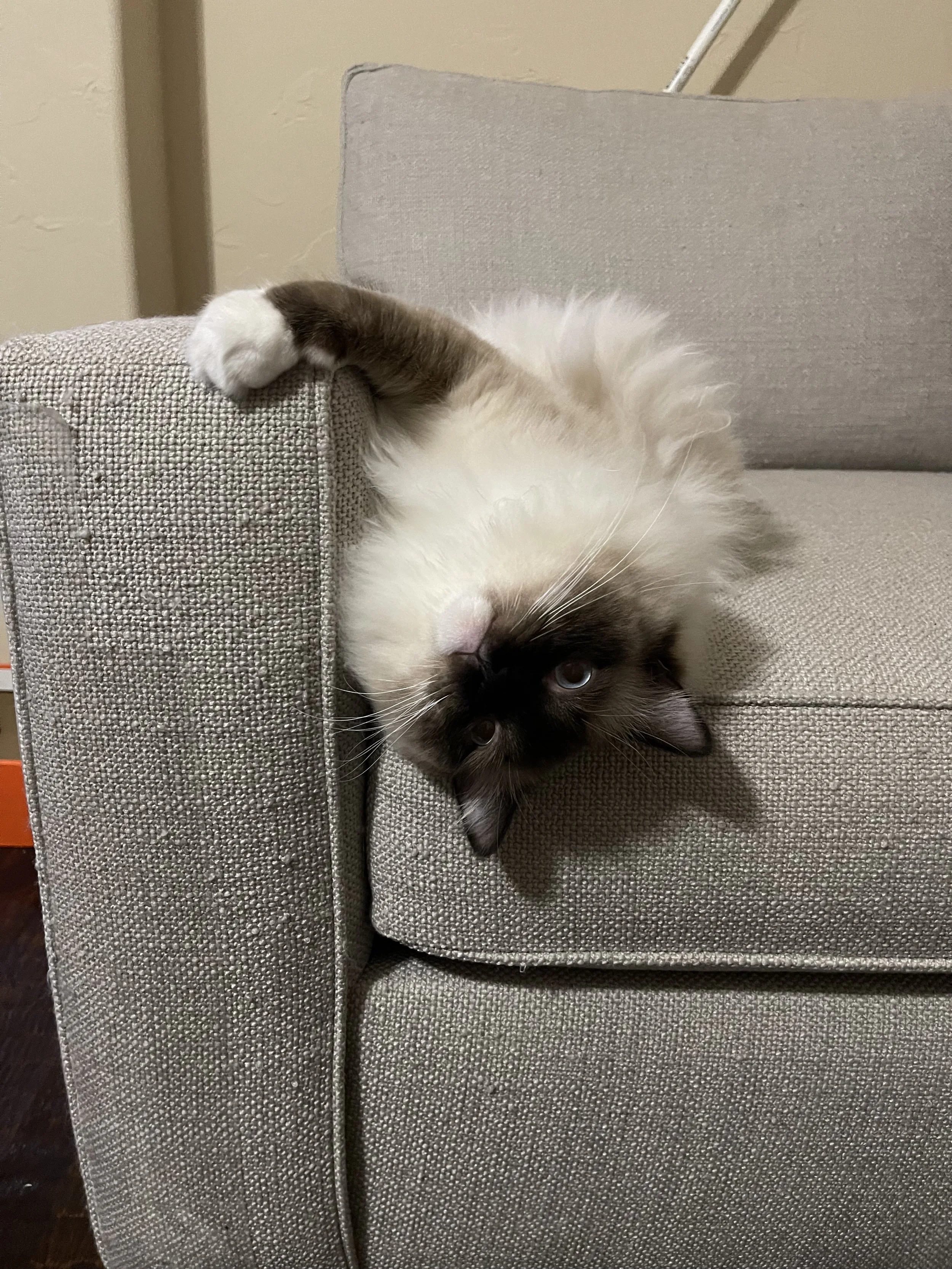 2023-03-26 21.18.50.jpg