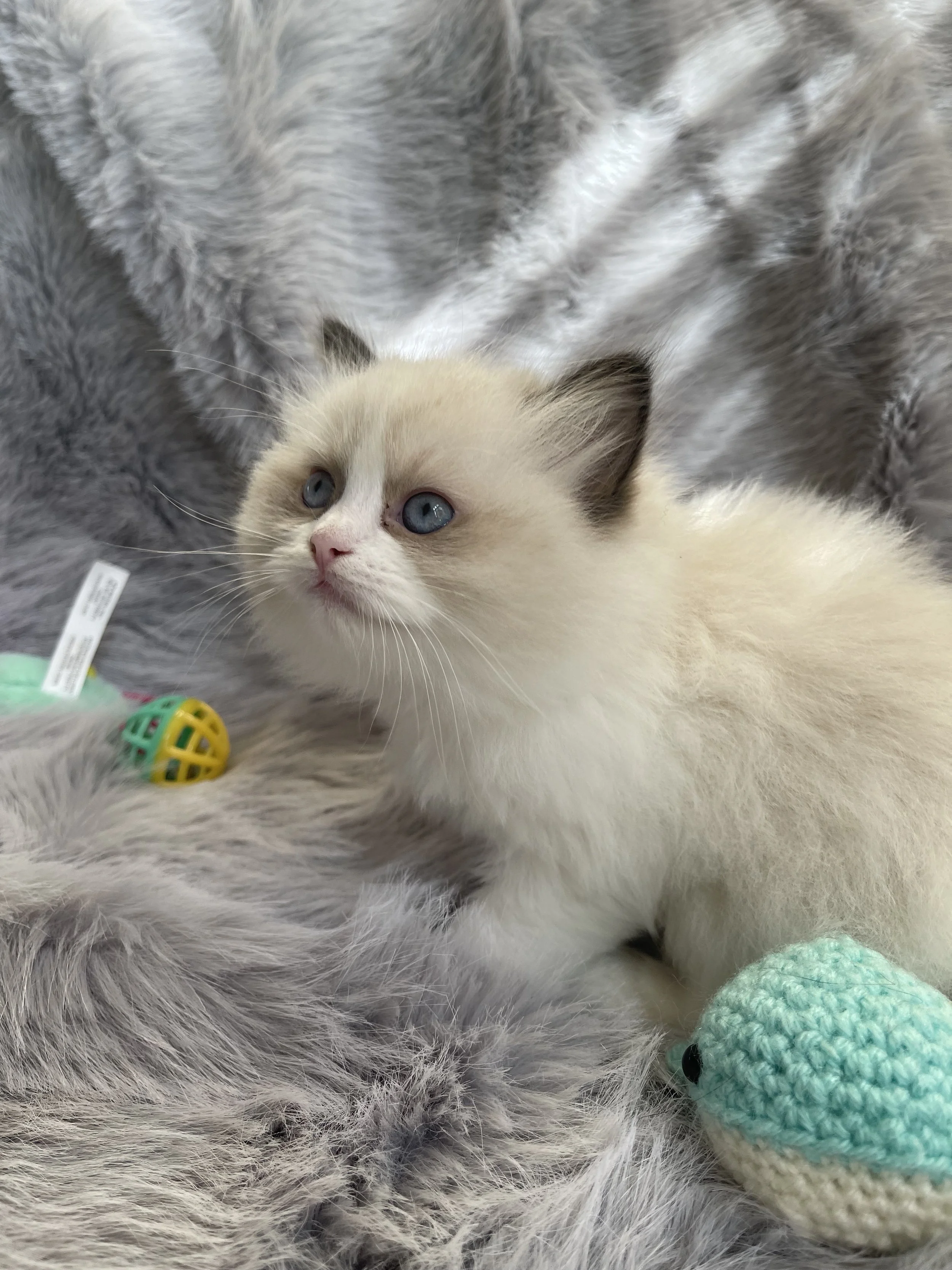 2023-12-05 12.20.52.jpg