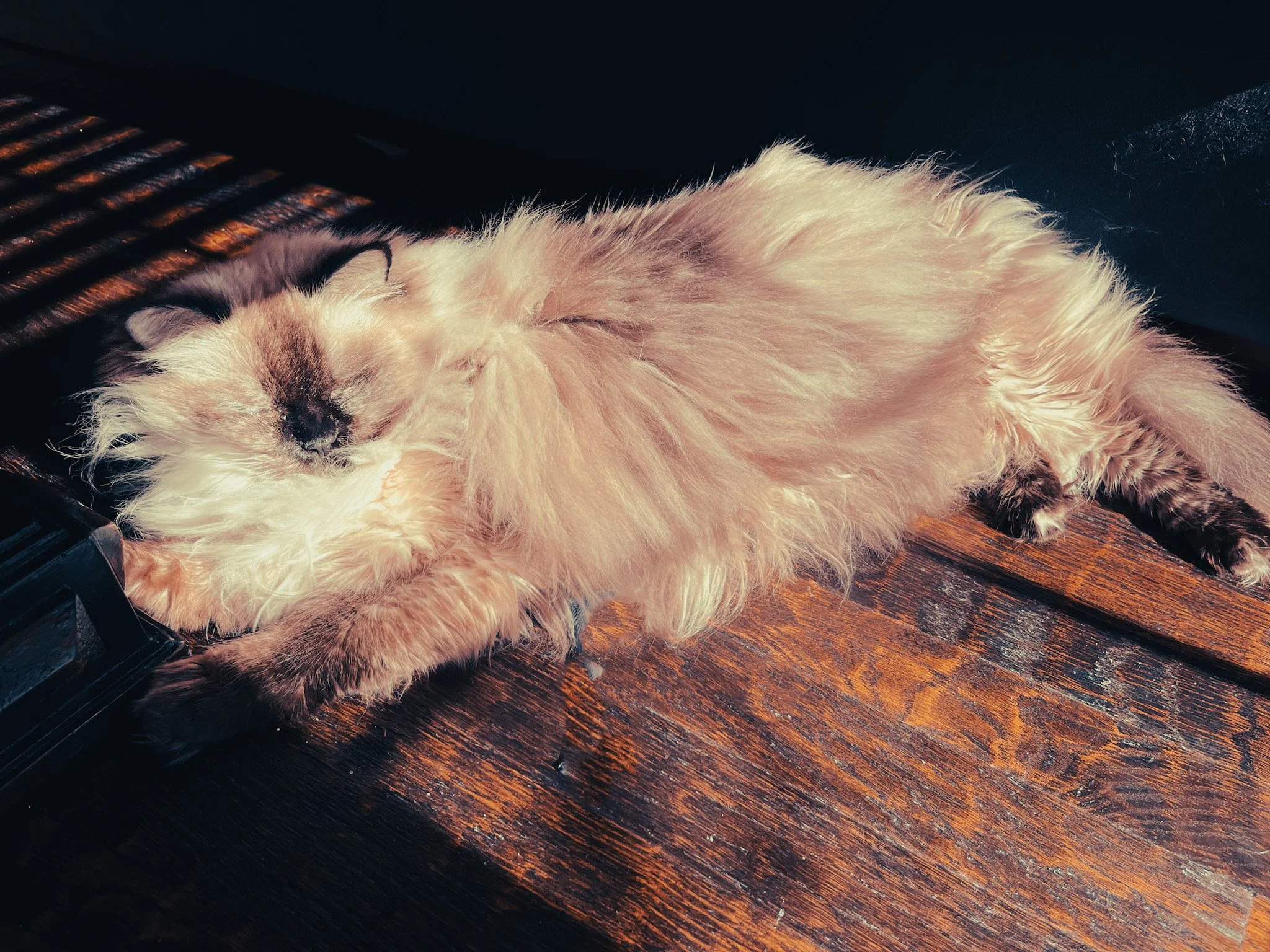 Ramona getting some sun