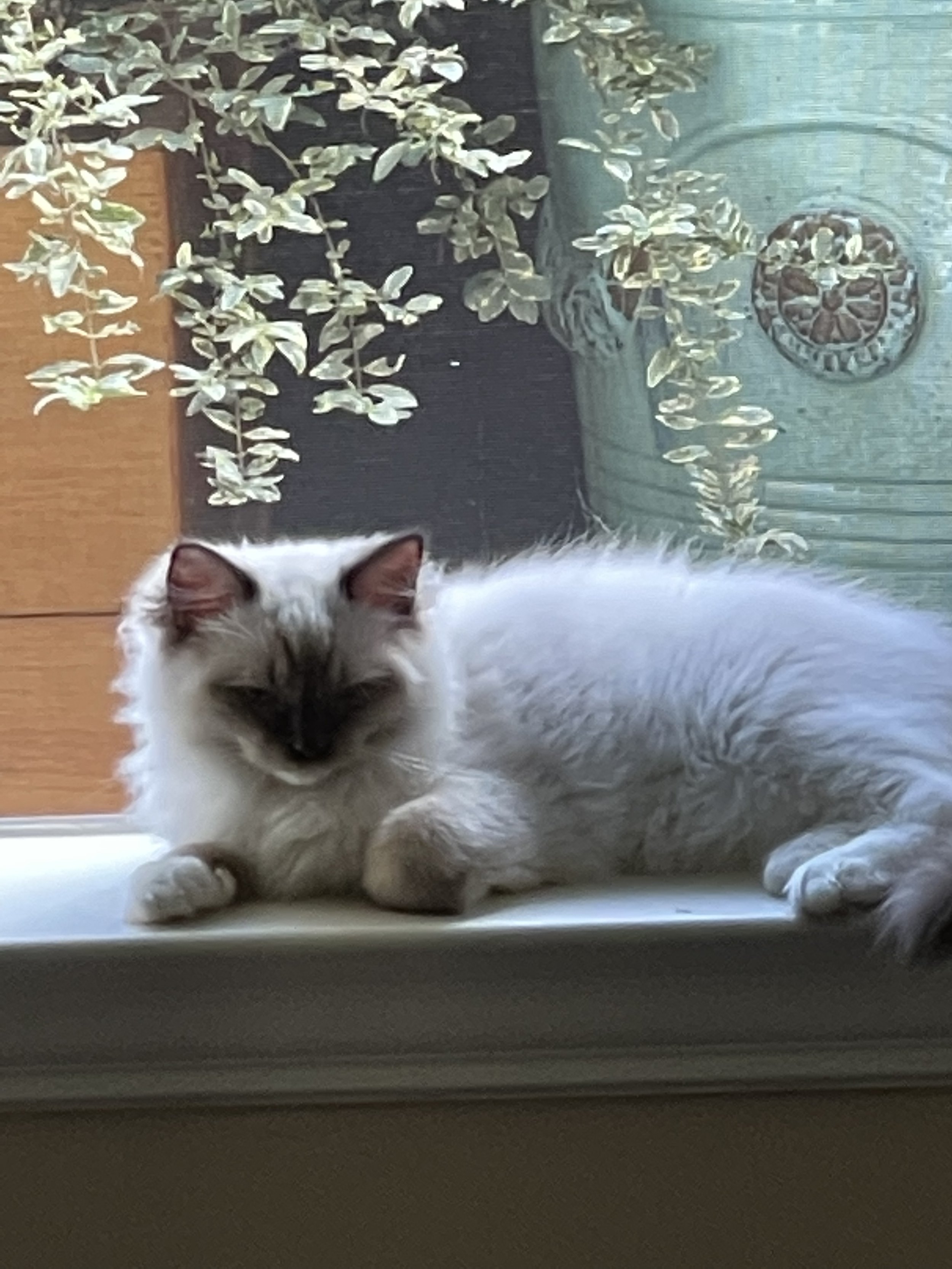 2022-10-09 09.21.06.jpg