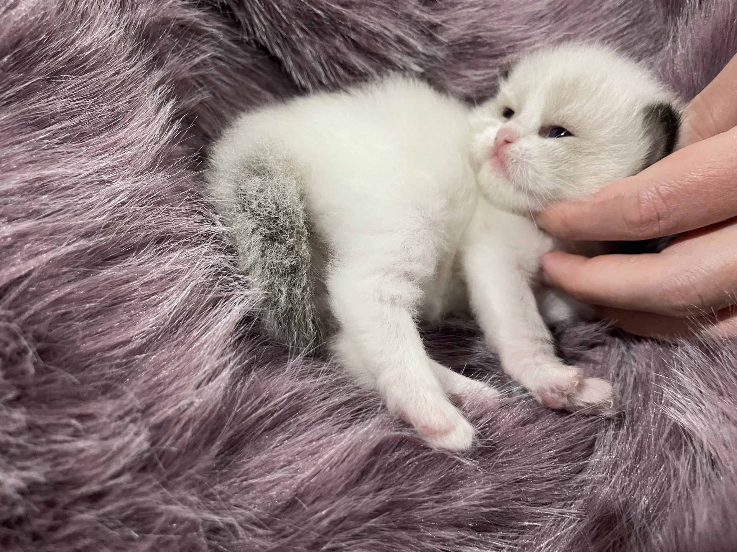 2023-11-03 18.12.42.jpg