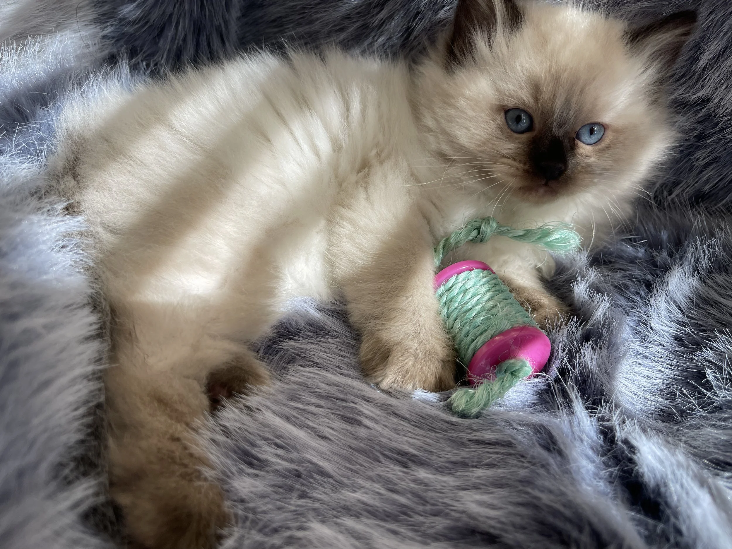 2023-12-05 12.34.41.jpg