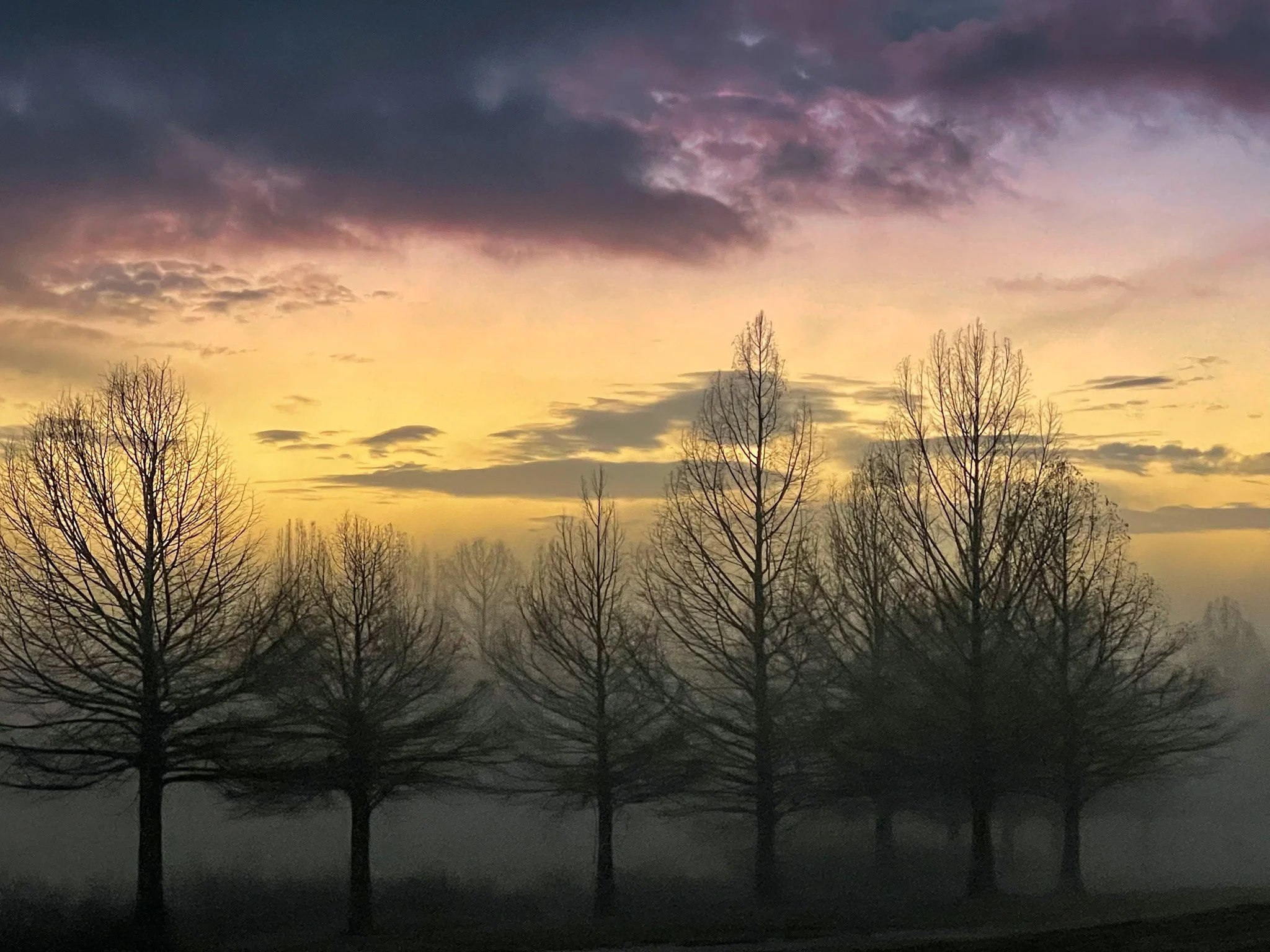 Foggy morning in Texas. Beautiful sunrise.