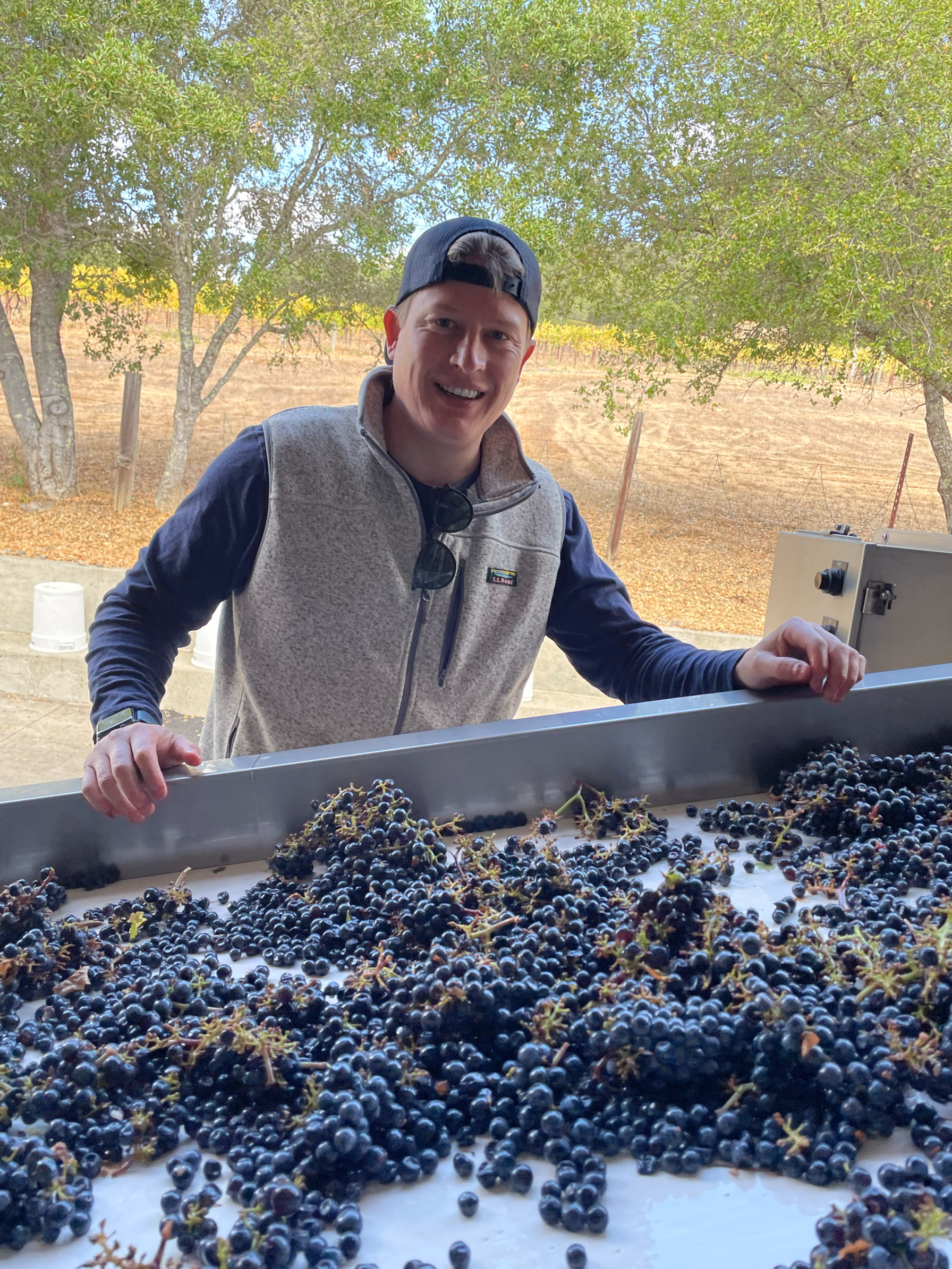 A man wearing a gray vest, black shirt, and gray cap with sunglasses hanging from the collar, smiling at camera, standing outdoors near trees, behind a table filled with harvesting black grapes and grapevine stems, during daytime.
