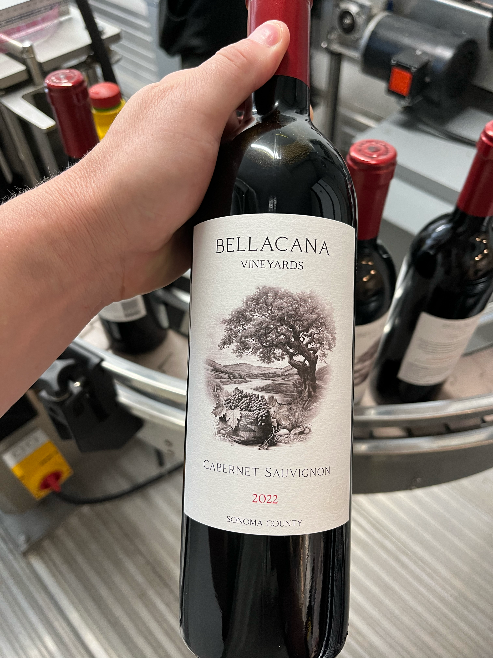 A person holding a bottle of wine in front of a wine rack. The wine bottle has a detailed label featuring a tree and text.