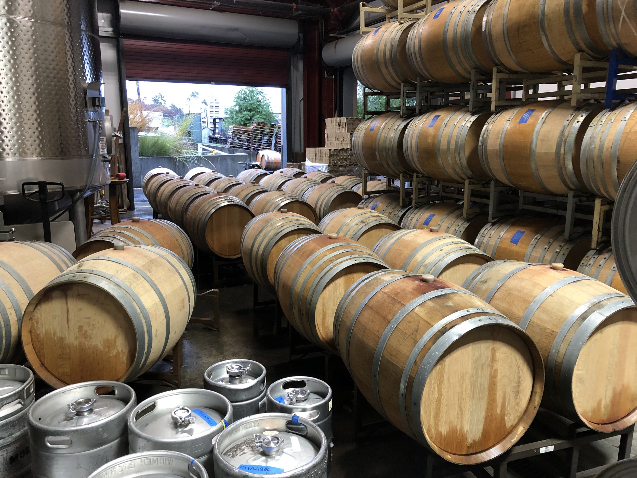 A storage area with rows of wooden barrels on racks and metal kegs on the floor, likely in a winery or brewery.