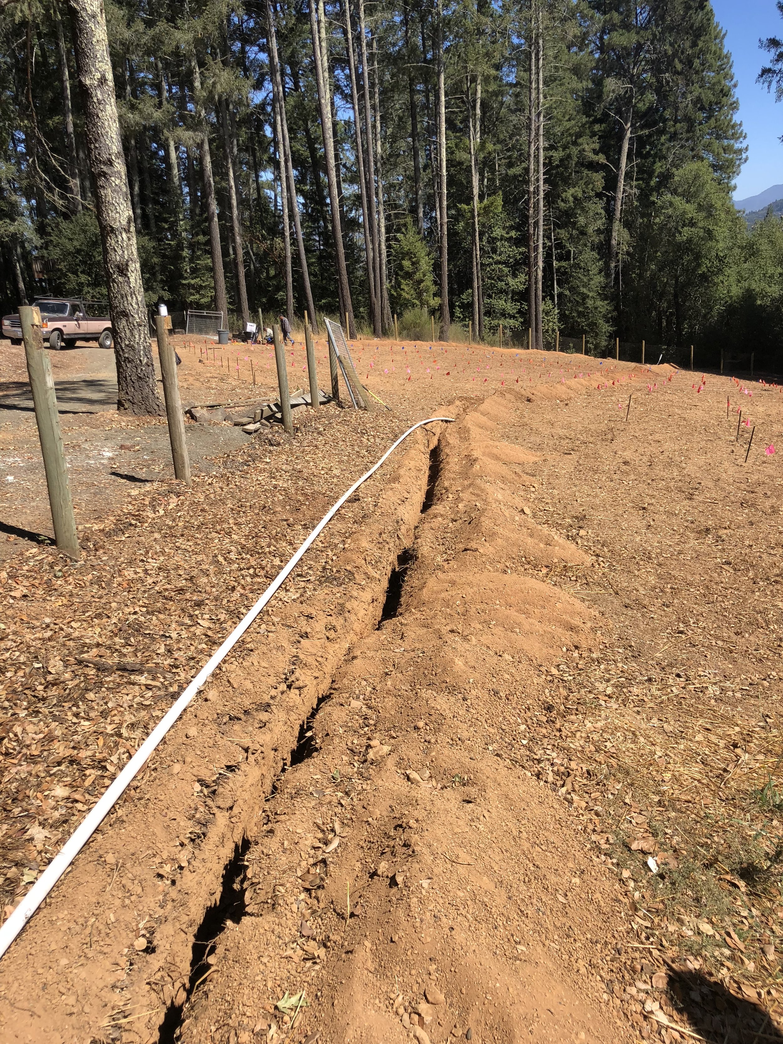 A cleared plot of land with a trench dug into the dirt, pink flags marking the boundaries, and a white pipe running along the trench, surrounded by tall trees and a parked truck in the background.