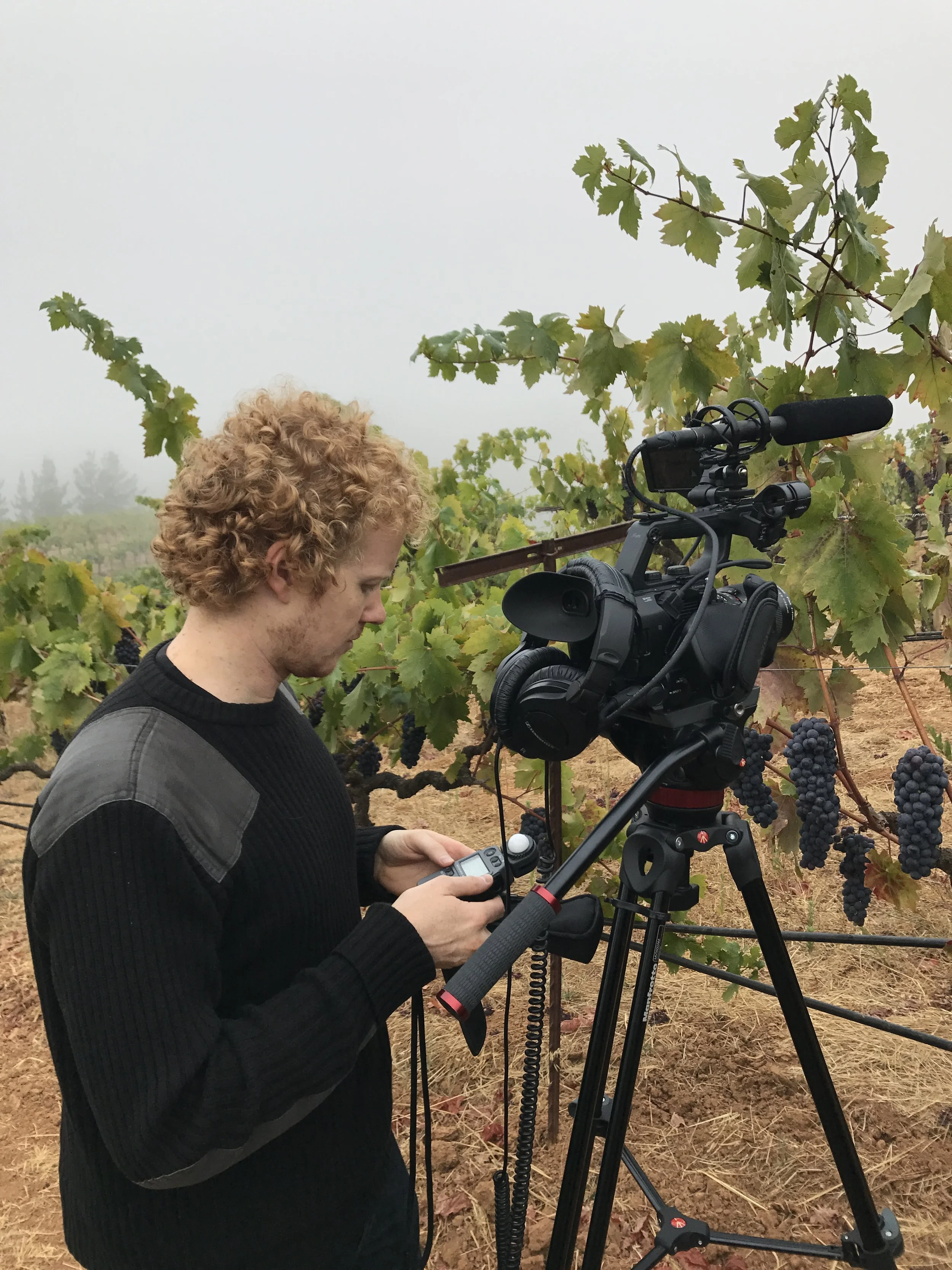 A man with curly red hair operating a professional video camera on a tripod in a vineyard with grape vines and grape clusters.