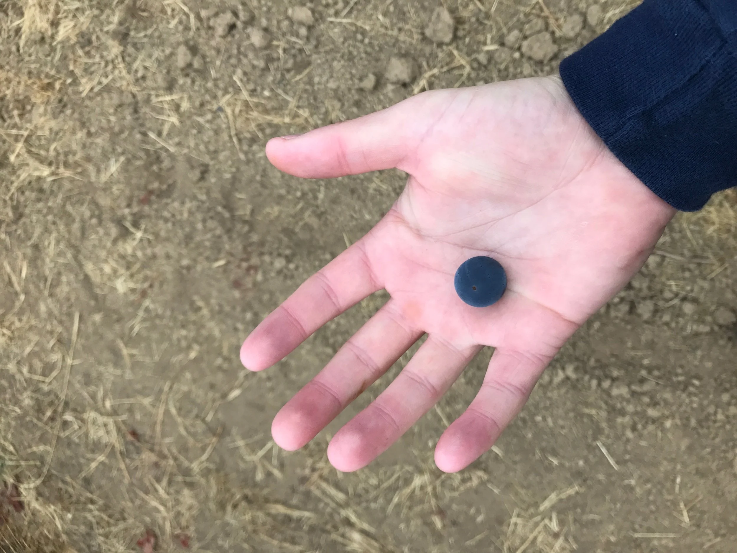Close-up of a person's hand with three fingers extended, holding a small round blue object, with dry grass and dirt ground in the background.