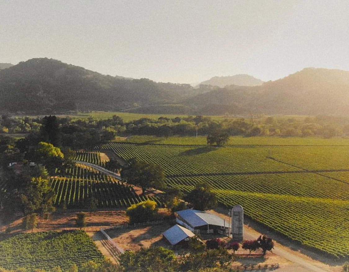 Aerial view of a rural farmland landscape with green fields, trees, a farm building, and rolling hills in the background at sunset or sunrise.