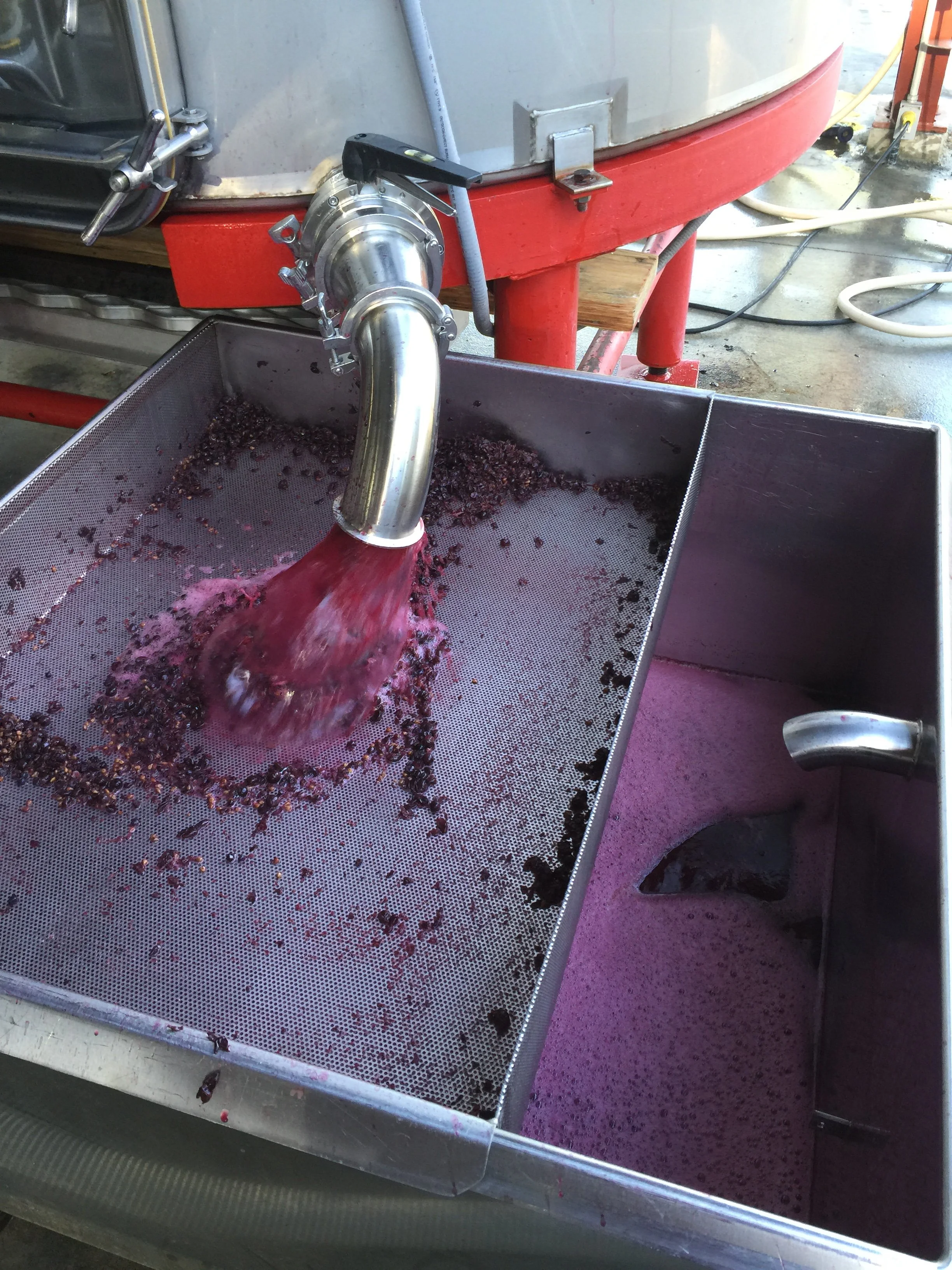 Wine grapes being processed through a machine with a metal grate and a pipe, with purple liquid and grape remnants on the surface.