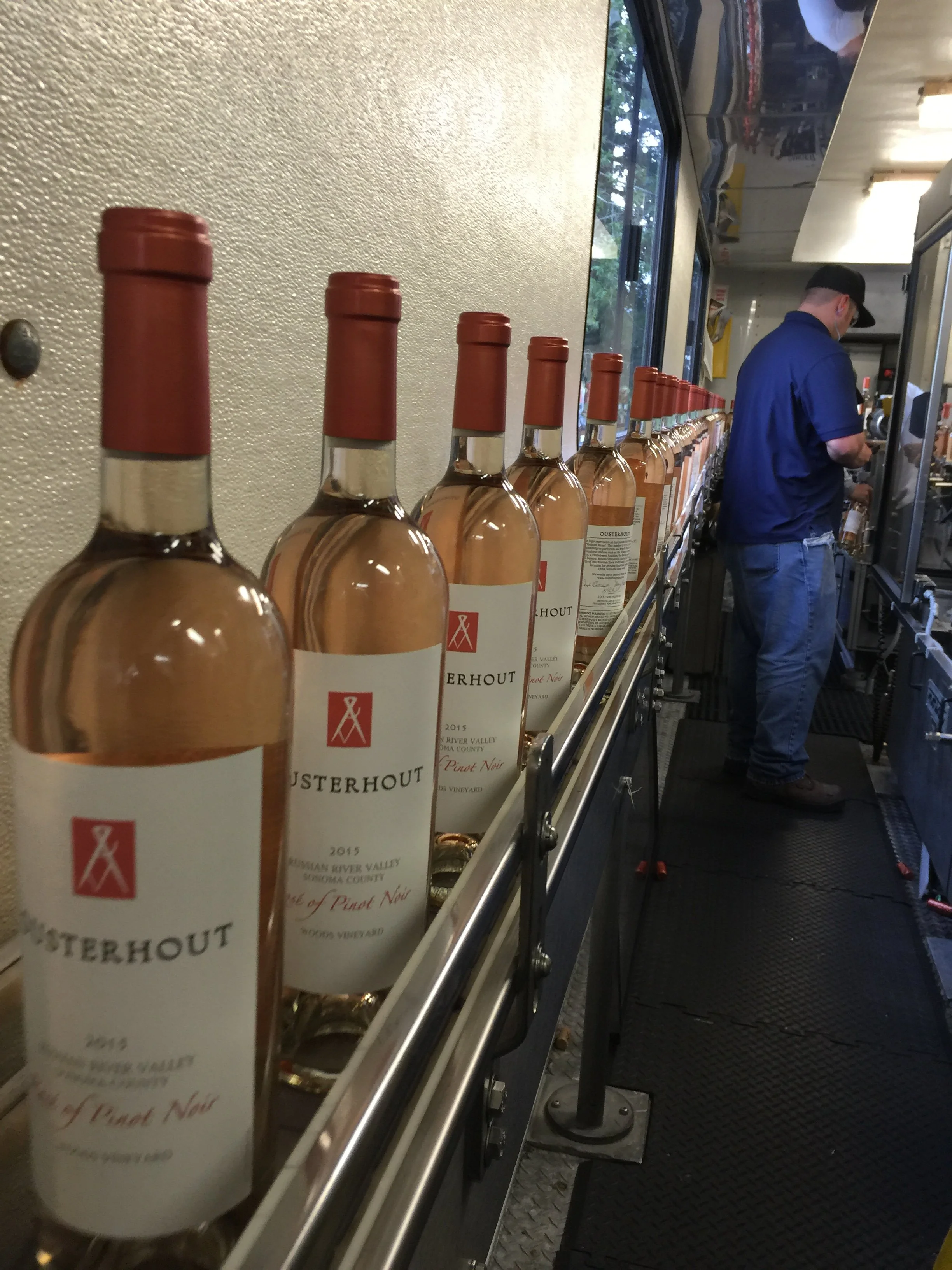 A line of rosé wine bottles on a conveyor belt inside a winery or brewery, with a person in a blue shirt working in the background.