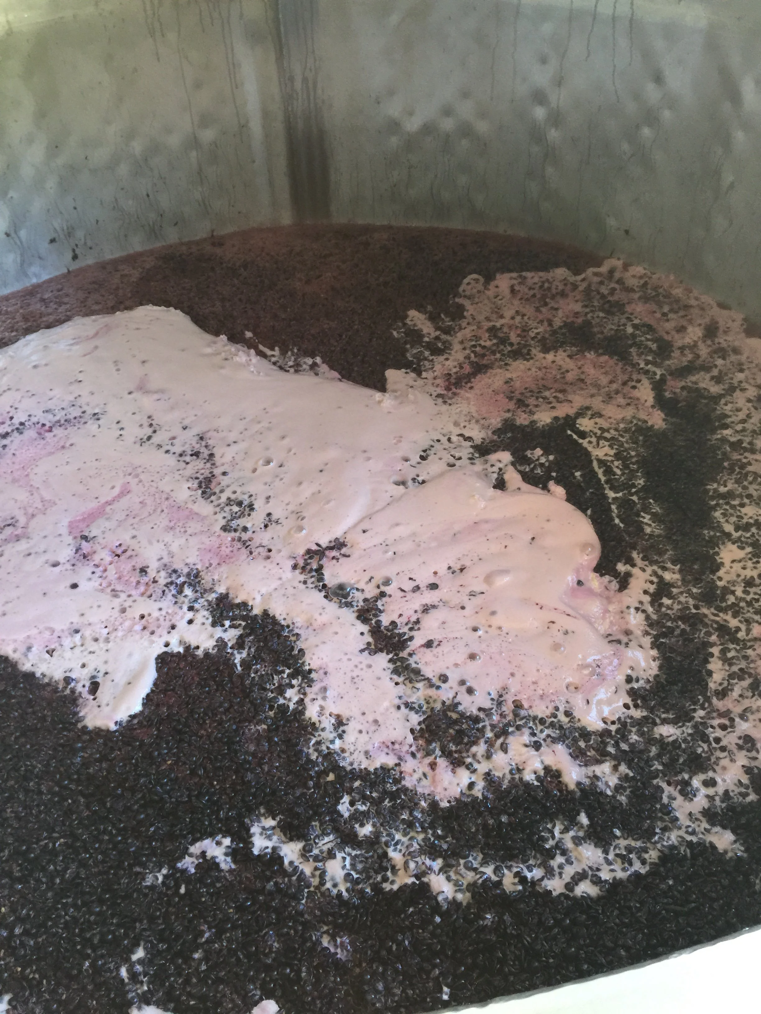 A close-up of a fermantation tank with bubbling grapes and foam, fermenting.