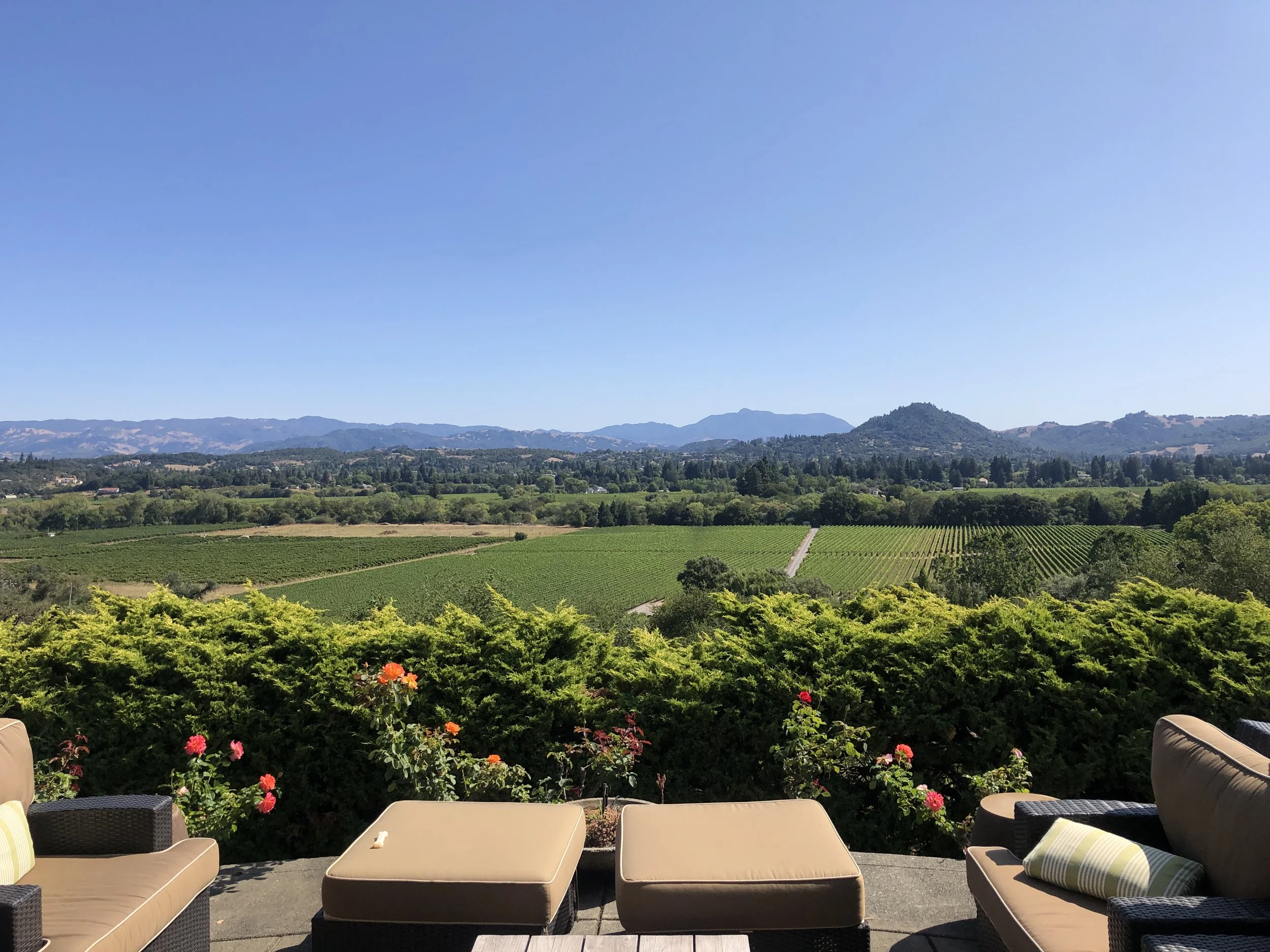 Patio with beige lounge chairs and a table, overlooking lush green vineyards, rolling hills, and mountains under a clear blue sky.
