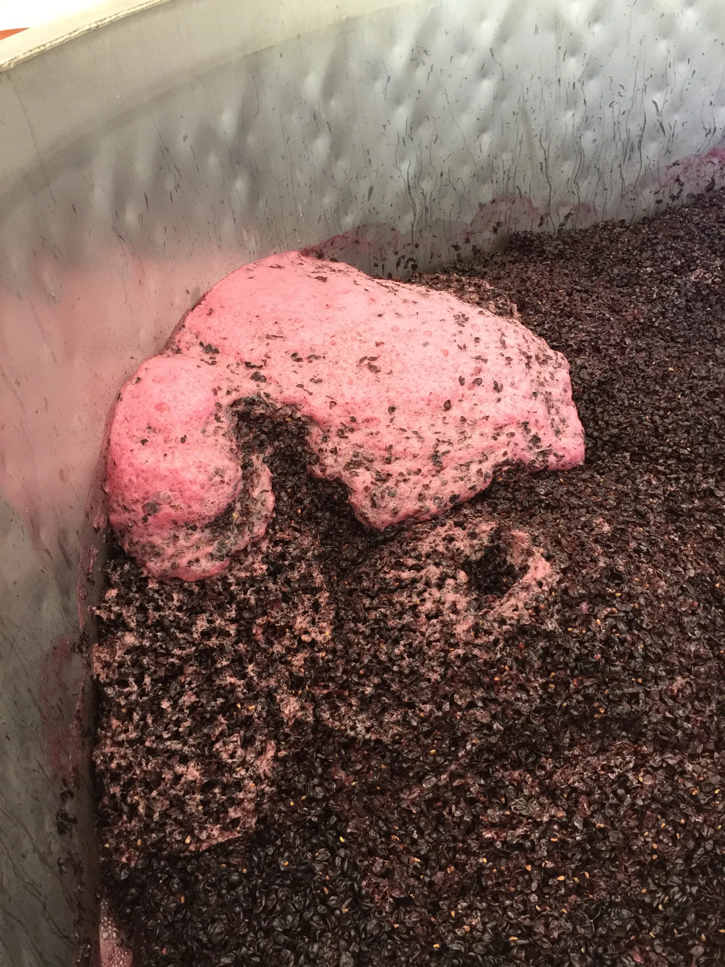 A large industrial container filled with dark, crushed grape skins and seeds, with pinkish foam and liquid on top.