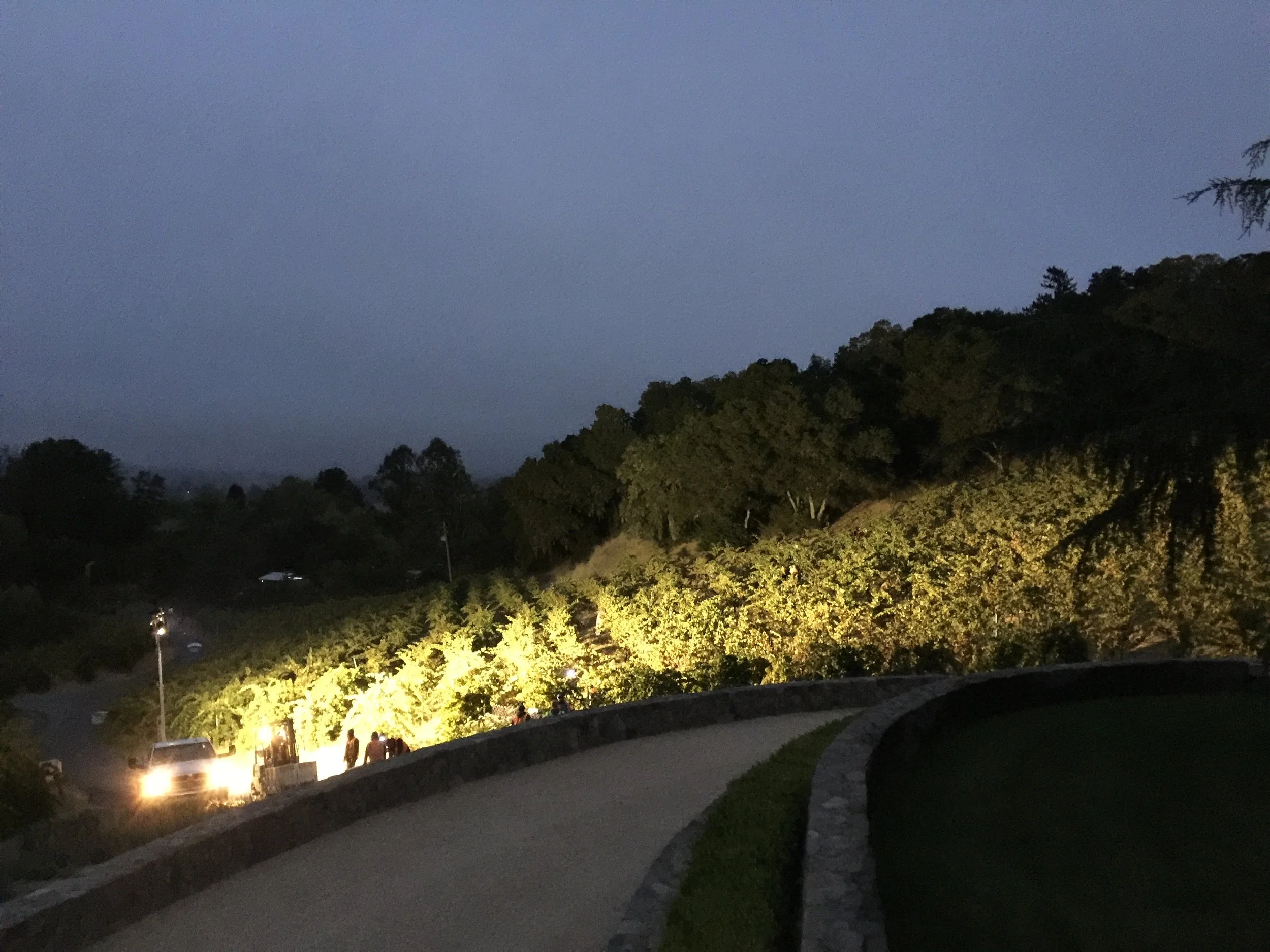 Nighttime scene of a hillside with trees illuminated by streetlights, a winding road with people walking, and a vehicle with headlights on.