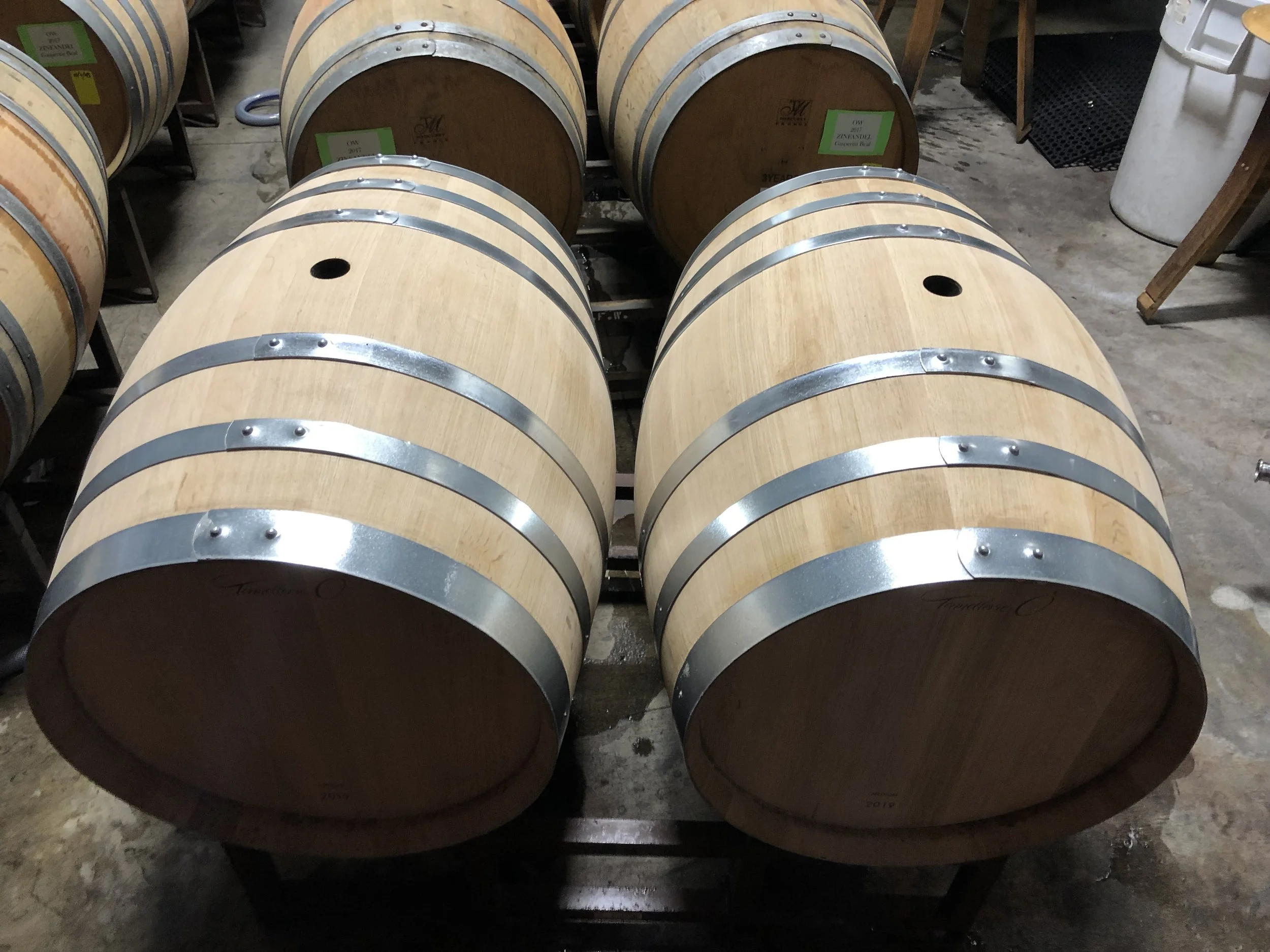 Multiple wooden wine barrels with metal bands, arranged in rows in a storage area or cellar.