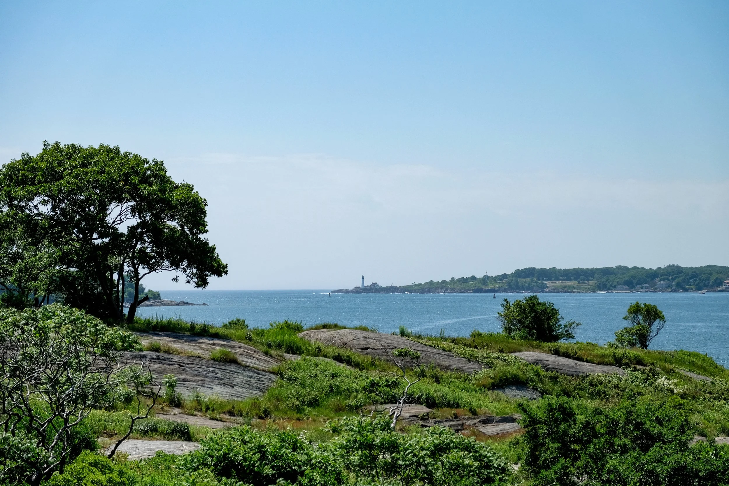 A coastal landscape with a large tree in the foreground, rocky terrain with green vegetation, and a body of water extending to a distant shoreline with a lighthouse and trees under a clear blue sky.