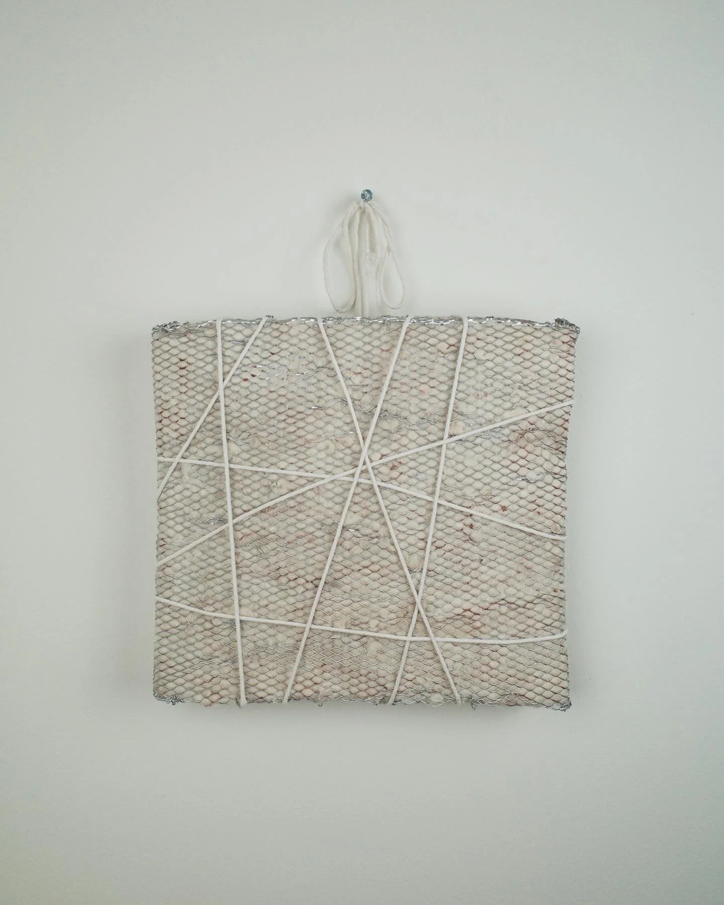 Domesticated Virility
2024
Aluminum expanded metal, kapok fiber fill, cotton cord, roofing nail
11.5 x 13 x 2 in.
