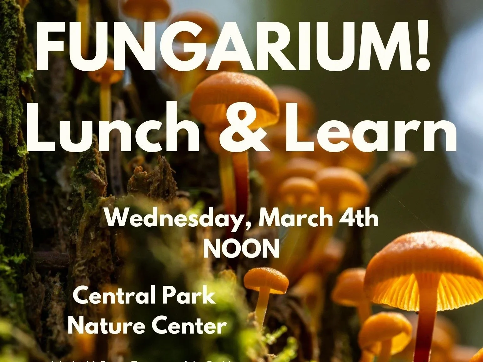 Fungarium! Lunch and Learn