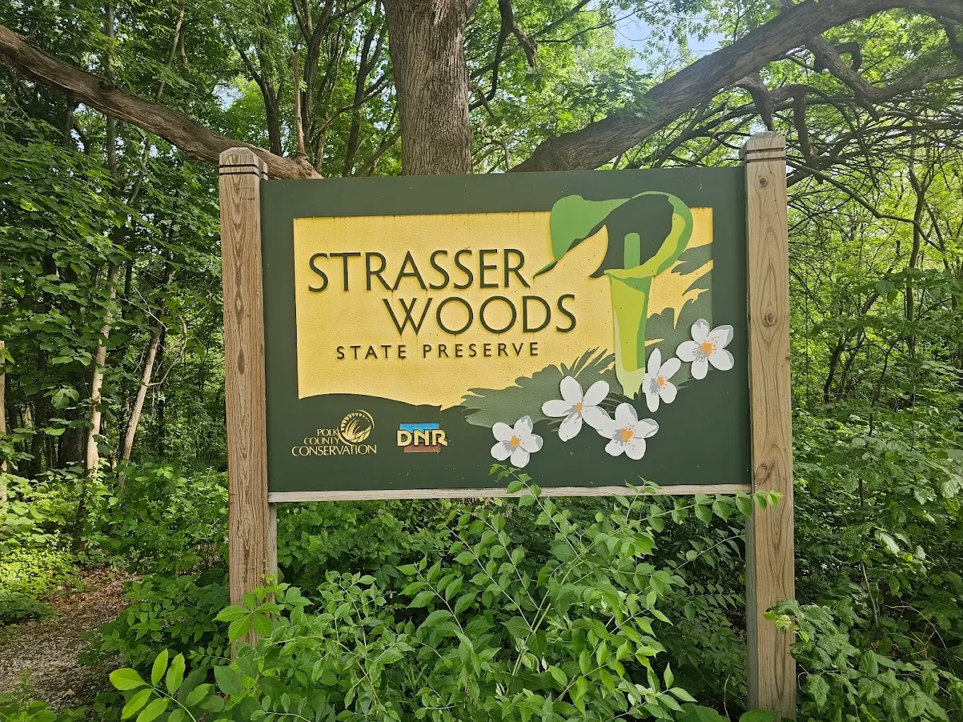 Strasser Woods Foray