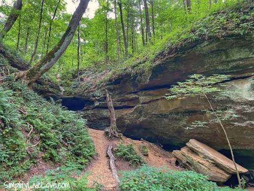 Heery Woods State Park Foray