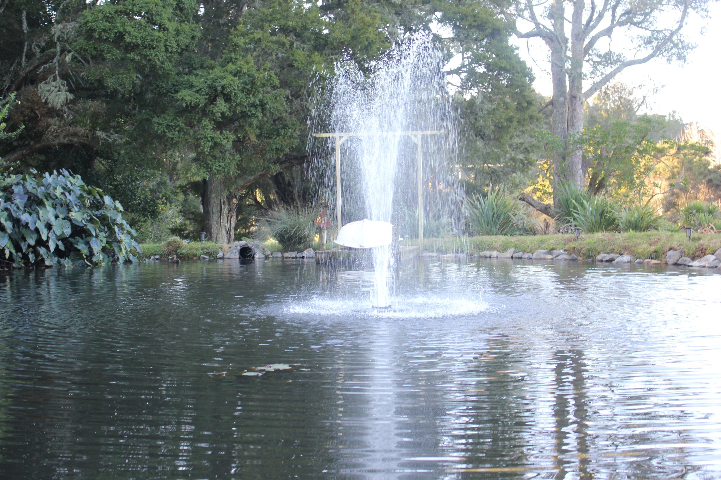 Fountain2.jpg