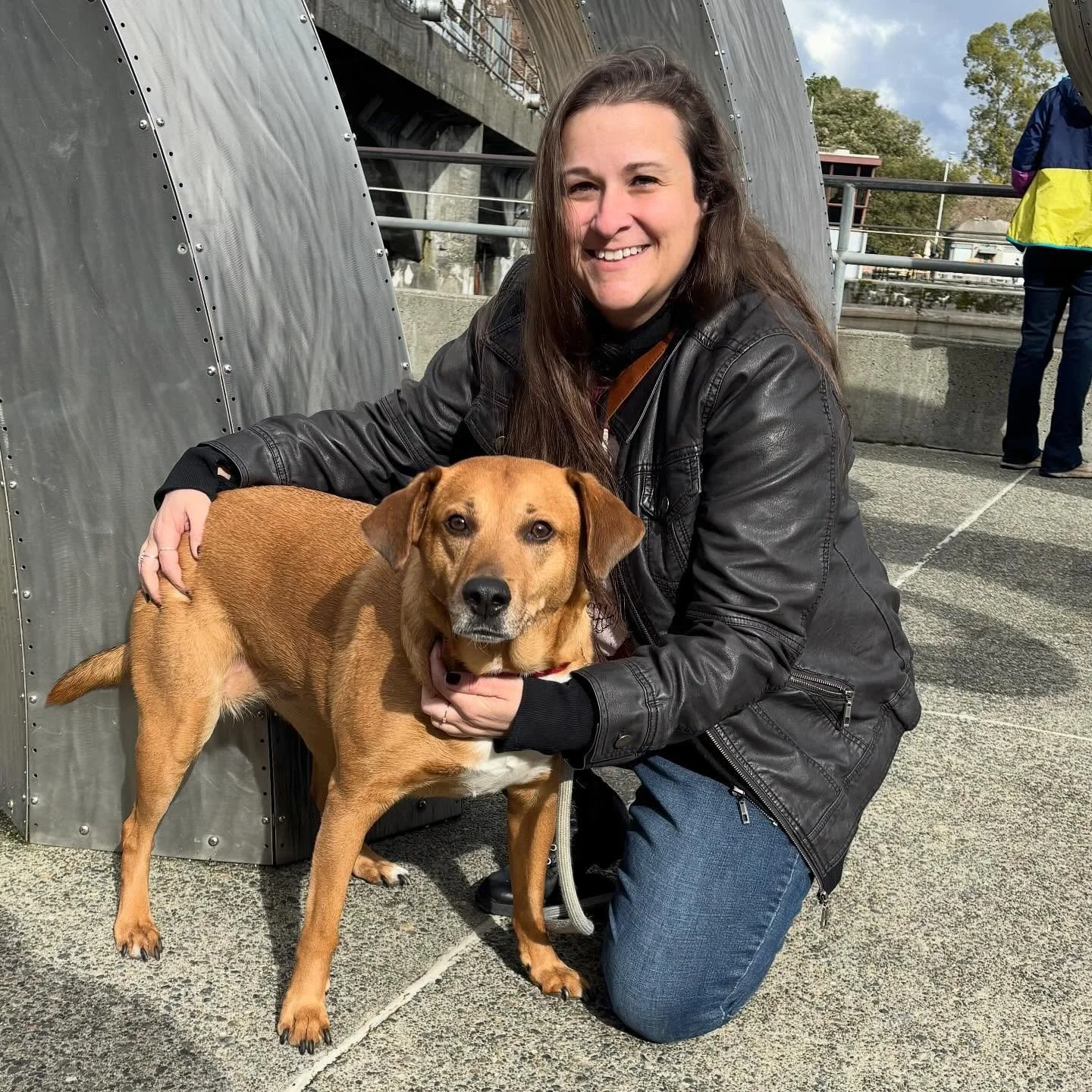Happy Valentine&rsquo;s Day from the sassiest gals in Seattle.

It&rsquo;s Ellie. She&rsquo;s the sassiest gal. 

#happyvalentinesday #dogmom #seattle
