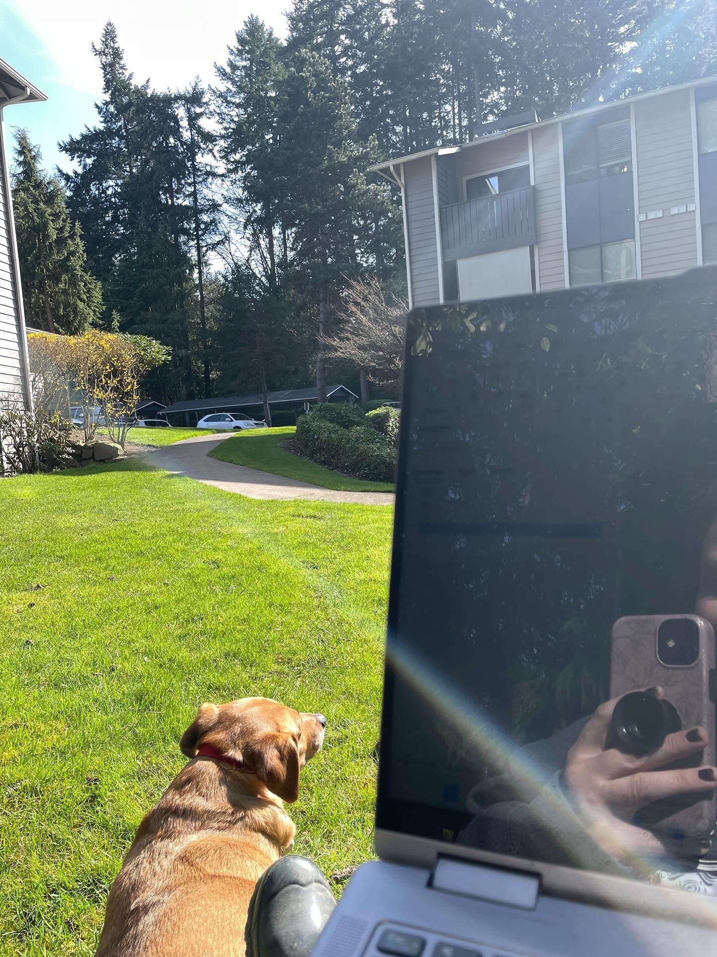 Writing for my life ✍🏻