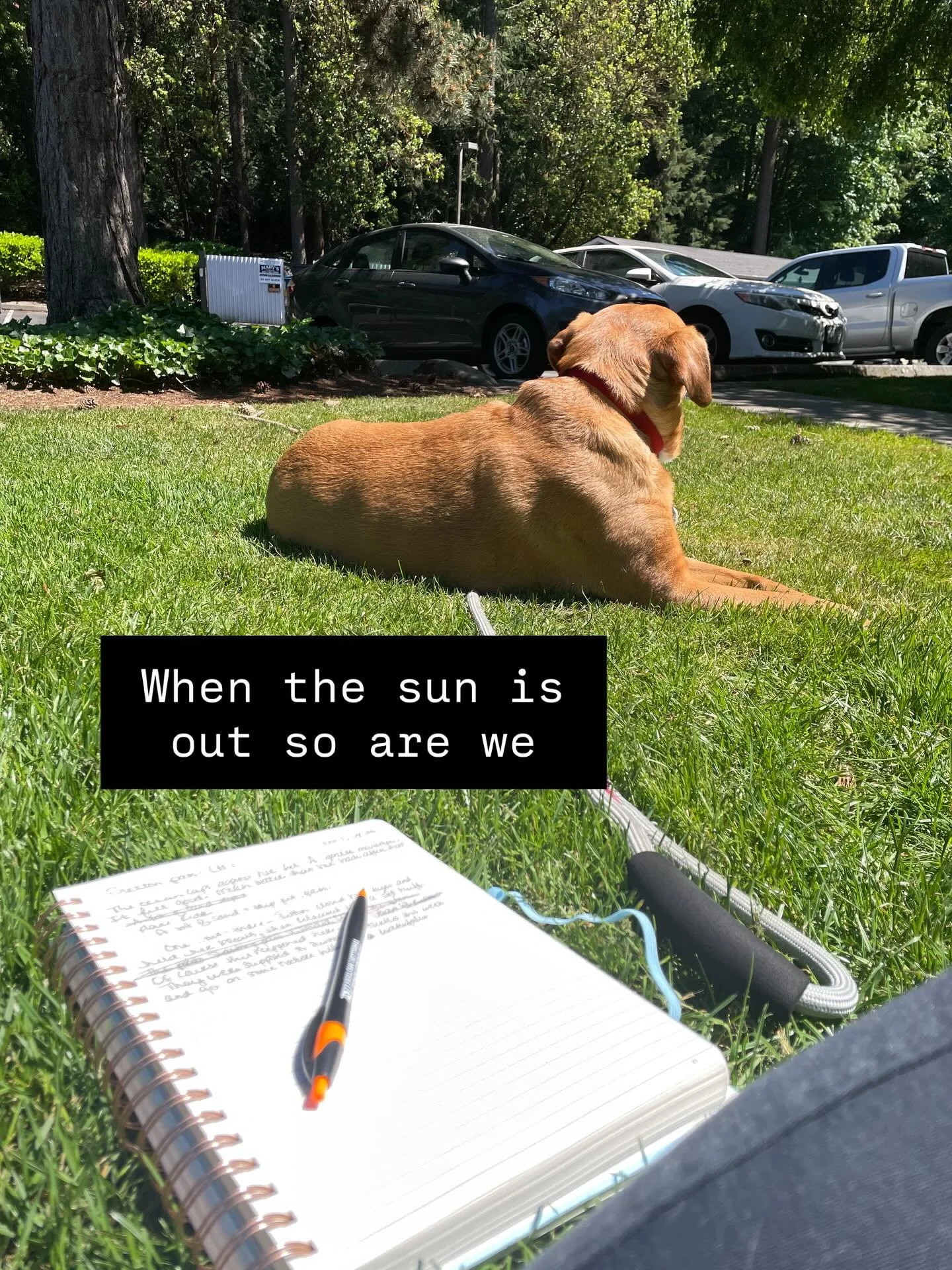It&rsquo;s sunny in Seattle.