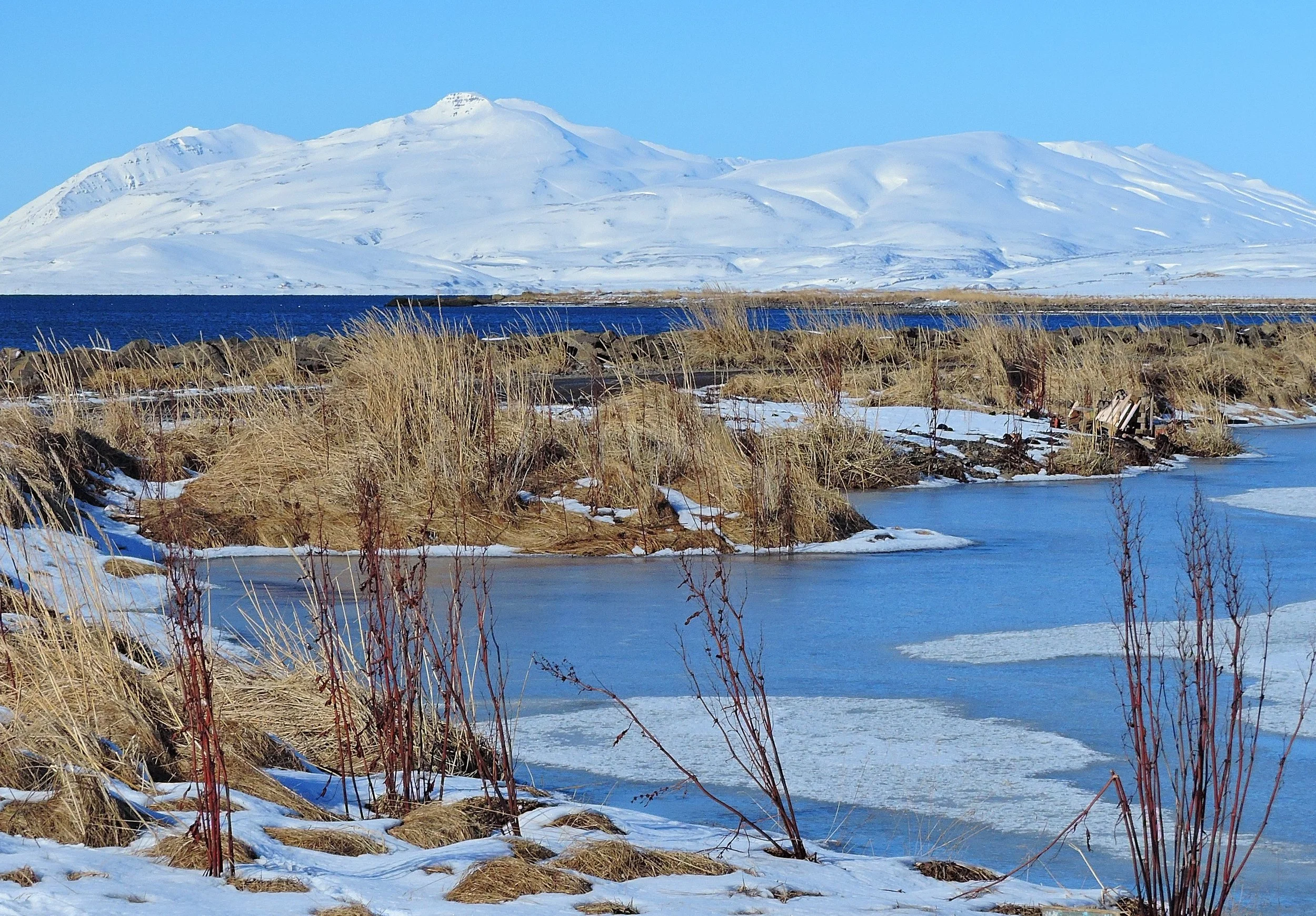 The Poetics of Arctic Conservation