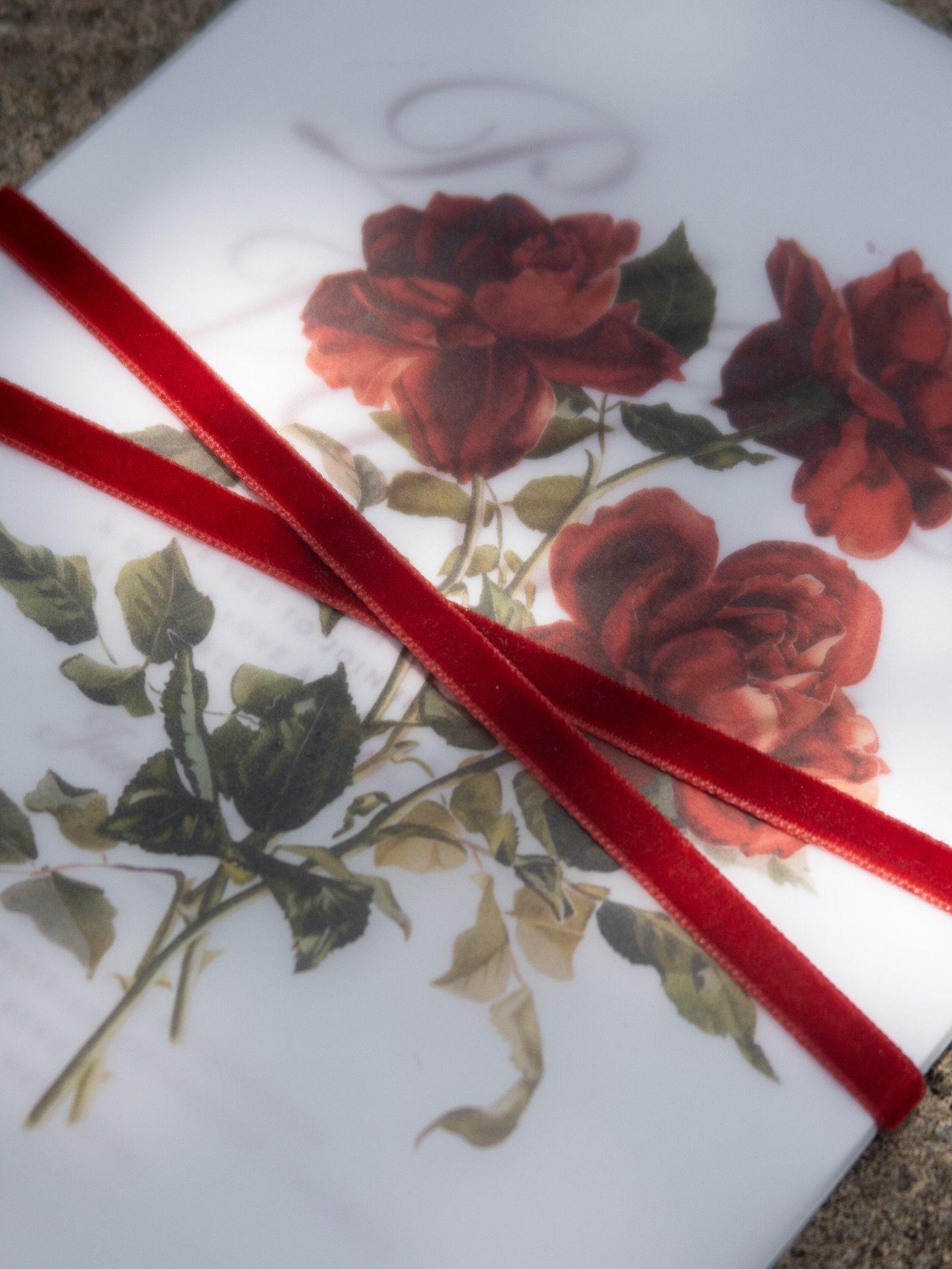 SCARLET RED🌹Vintage roses and velvet ribbon #red #roses #vellum #velvet #invitation #ribbon #customsuite #invitationsuite #invitesuite #invitationinspo #letterpressinvitation