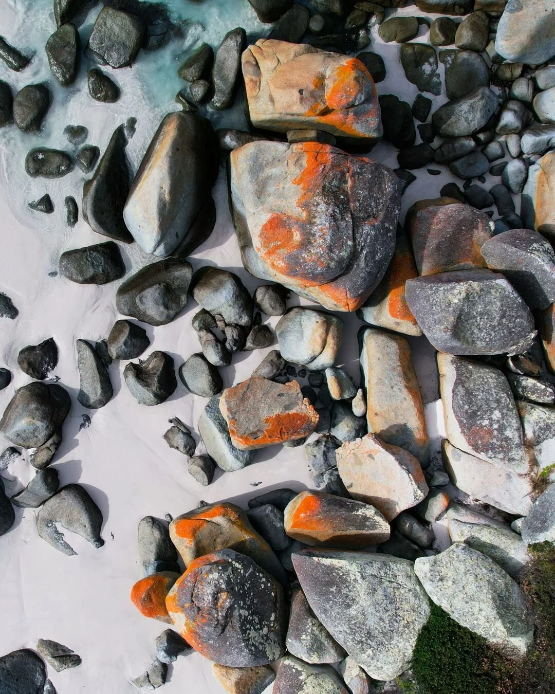 Have you ever noticed that sometimes the most captivating part of the beach isn't the view of the horizon? The orange lichen growing over the granite boulders surrounding the Bay of Fires makes a case for the beauty in the small stuff, the unremarkab