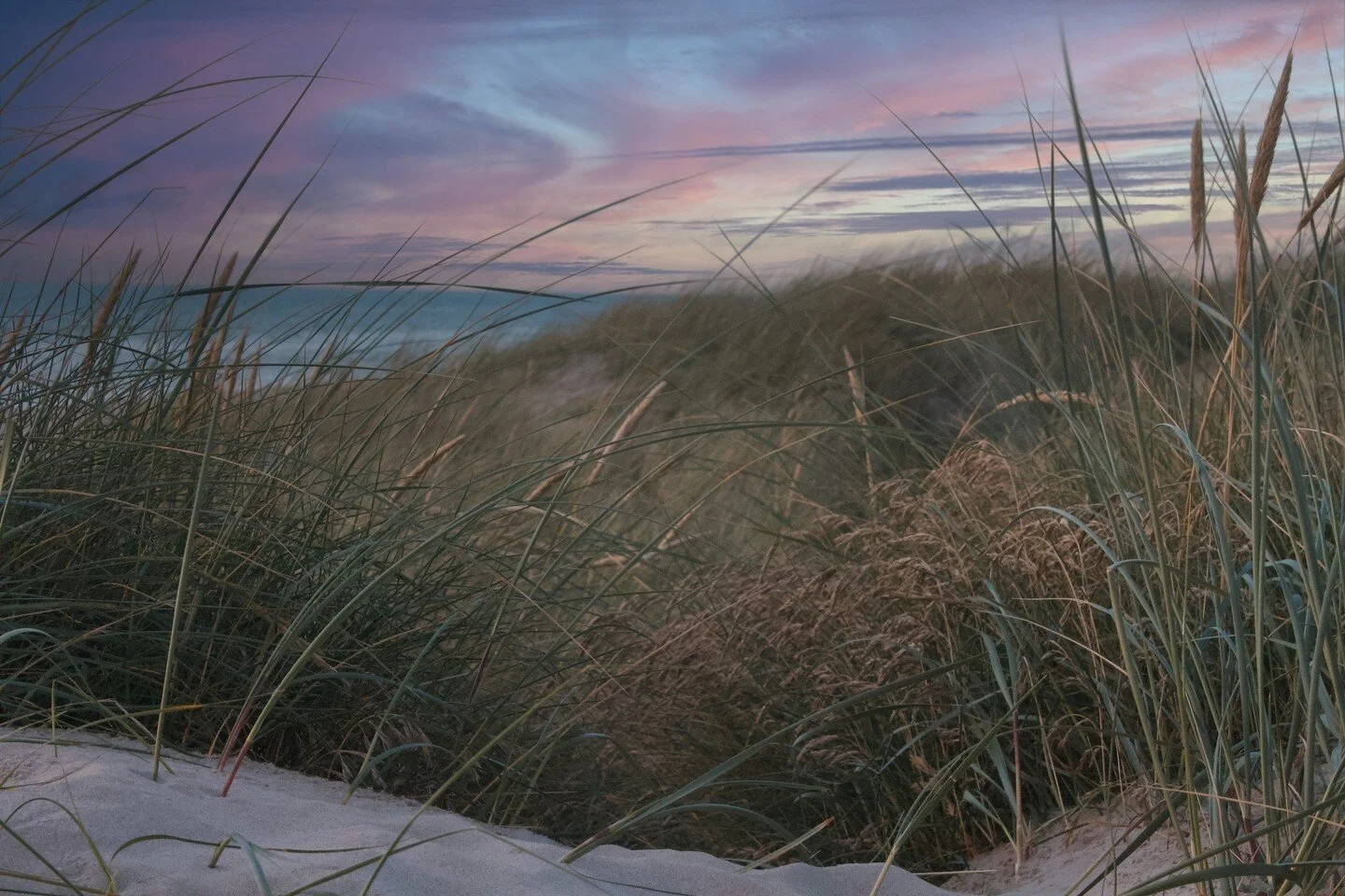 The sun setting over the beach in Denmark paints the horizon in shades of pink and purple. It's a picturesque scene but don't make the mistake of thinking you'll be dipping toes into warm water. This may be the Danish summer but to this Aussie it may