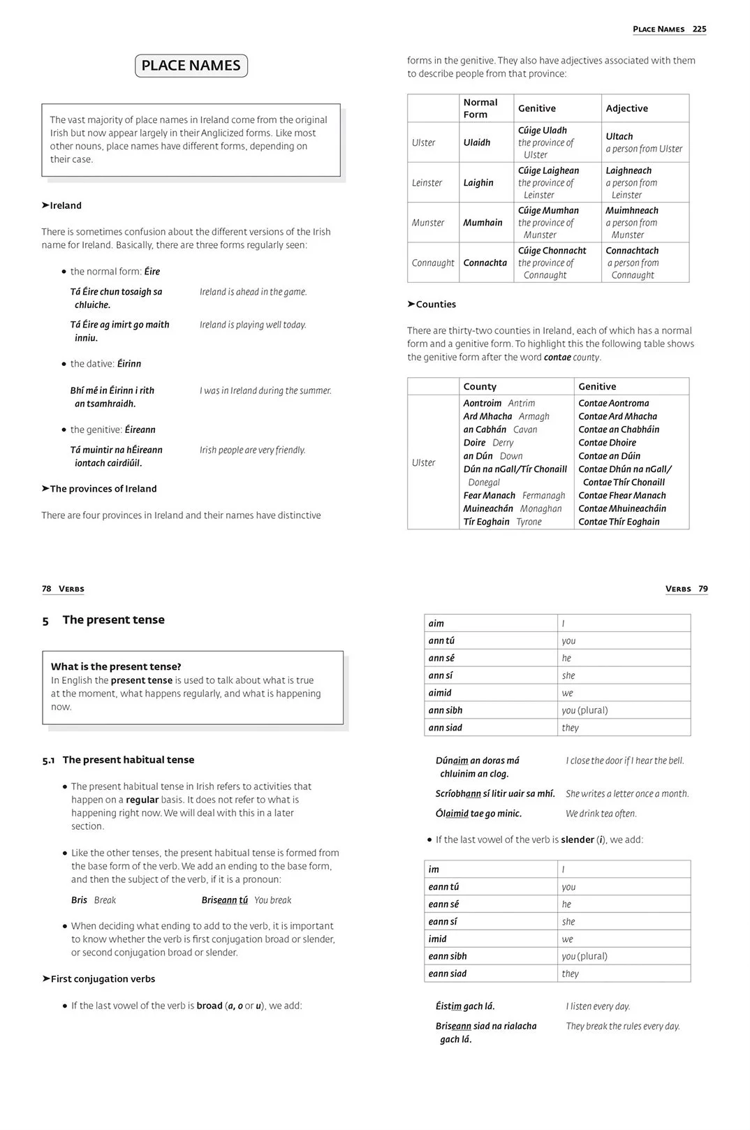 Irish-Grammer-Paperback-lunadelmar_03.jpg (Copy)
