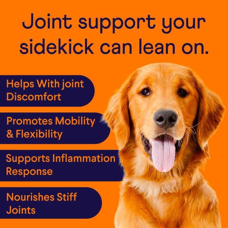 hit&joint_Petfinn-back-lunadelmar_Benefits.jpeg