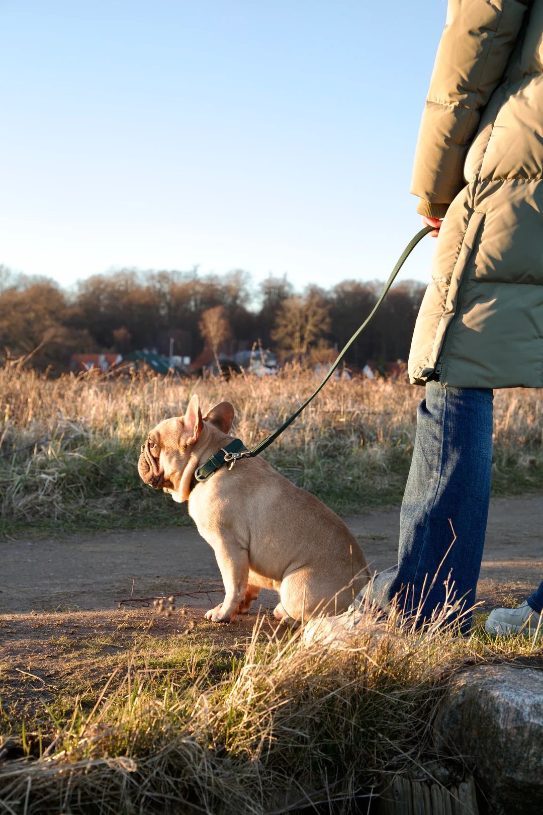 Thomas-Leash_lunadelmar_2023_avocado_Lifestyle.jpg