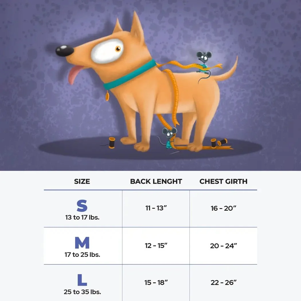 Happy Berry Red Dog Sweatshirt_Lunadelmar_4.jpg