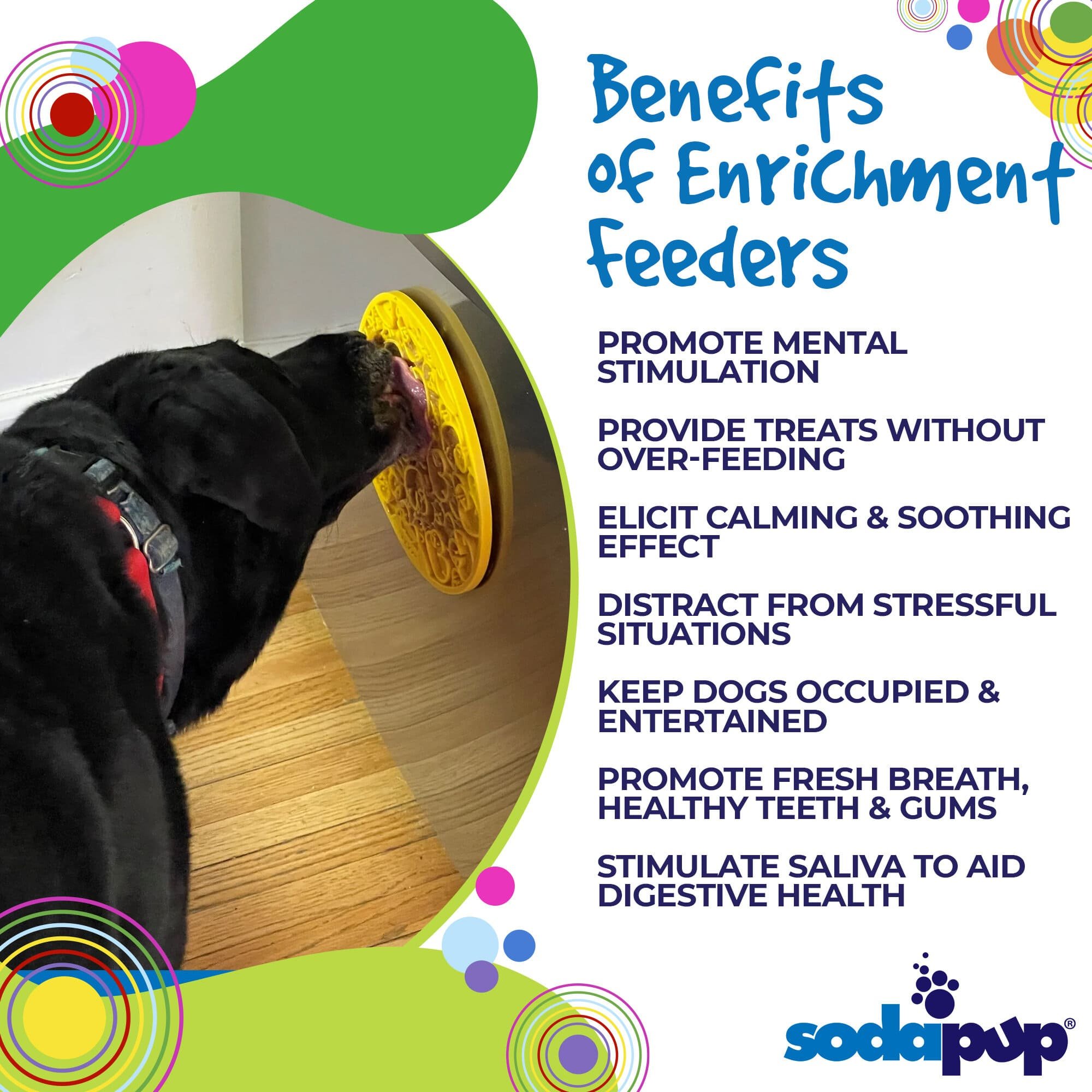 4-Benefits-SodaPup-EnrichmentFeeder-SodaPup-eMatDuckies_1024x1024@2x.jpeg