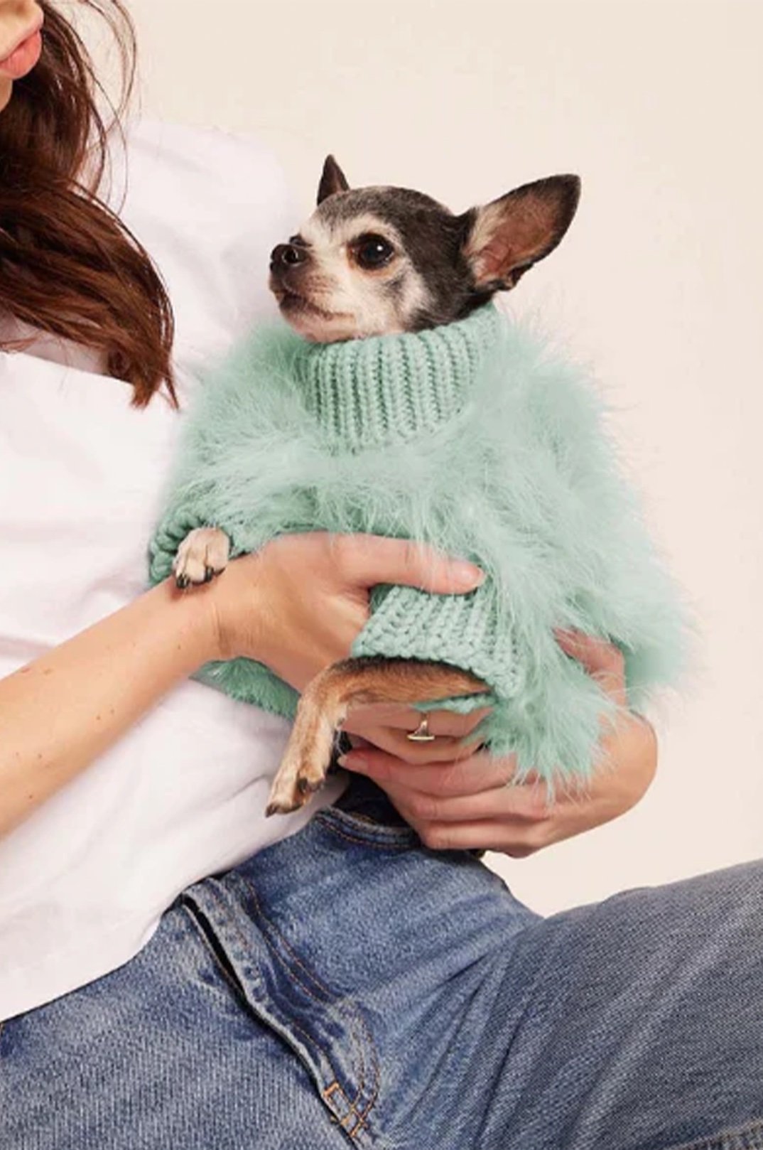 Dog Knit Feather Christian Cowan and maxbone Jumper | maxbone Max & Bone Dog Sweater, Small main image 1