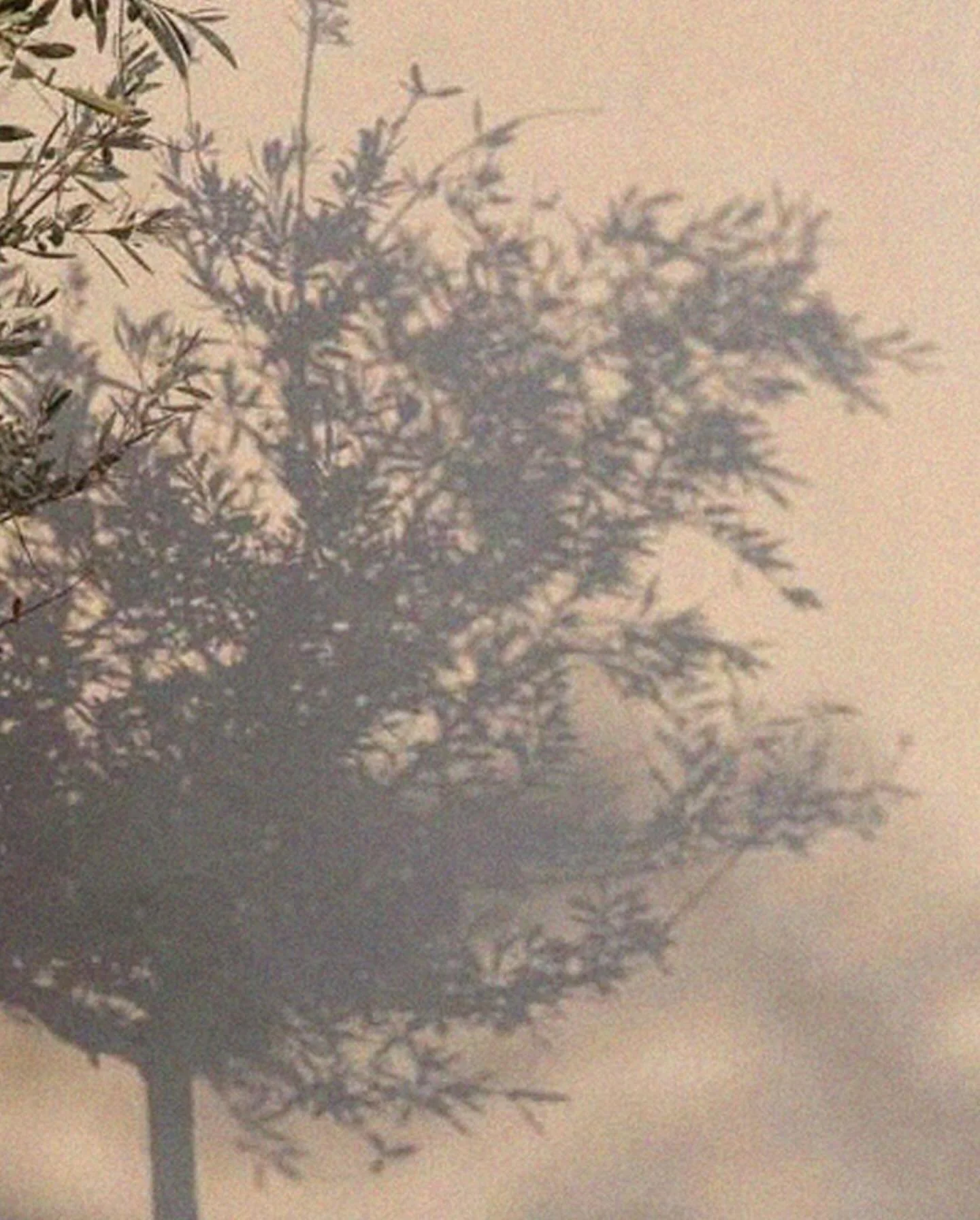 This is your reminder to slow down and breath...

Repost: @bytogether