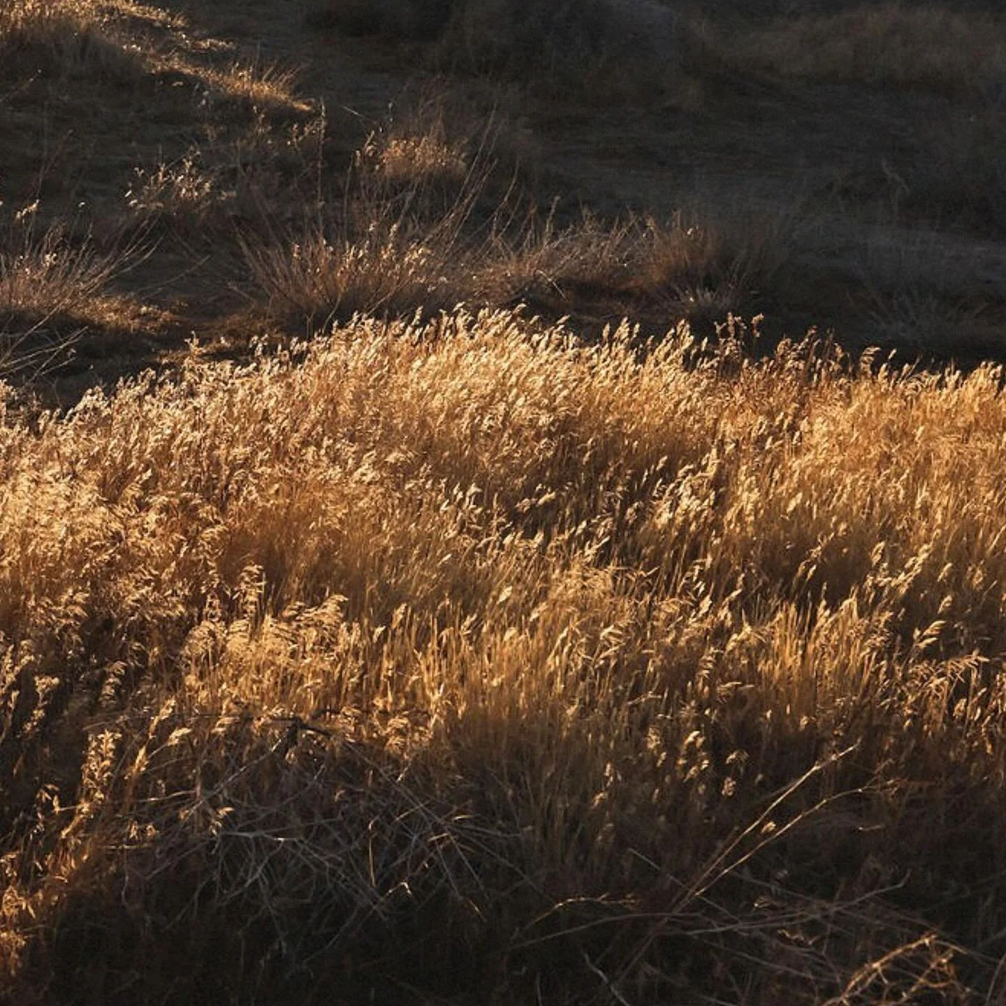 Let nature remind us that peace still exists 🌄
Repost: @bytogether