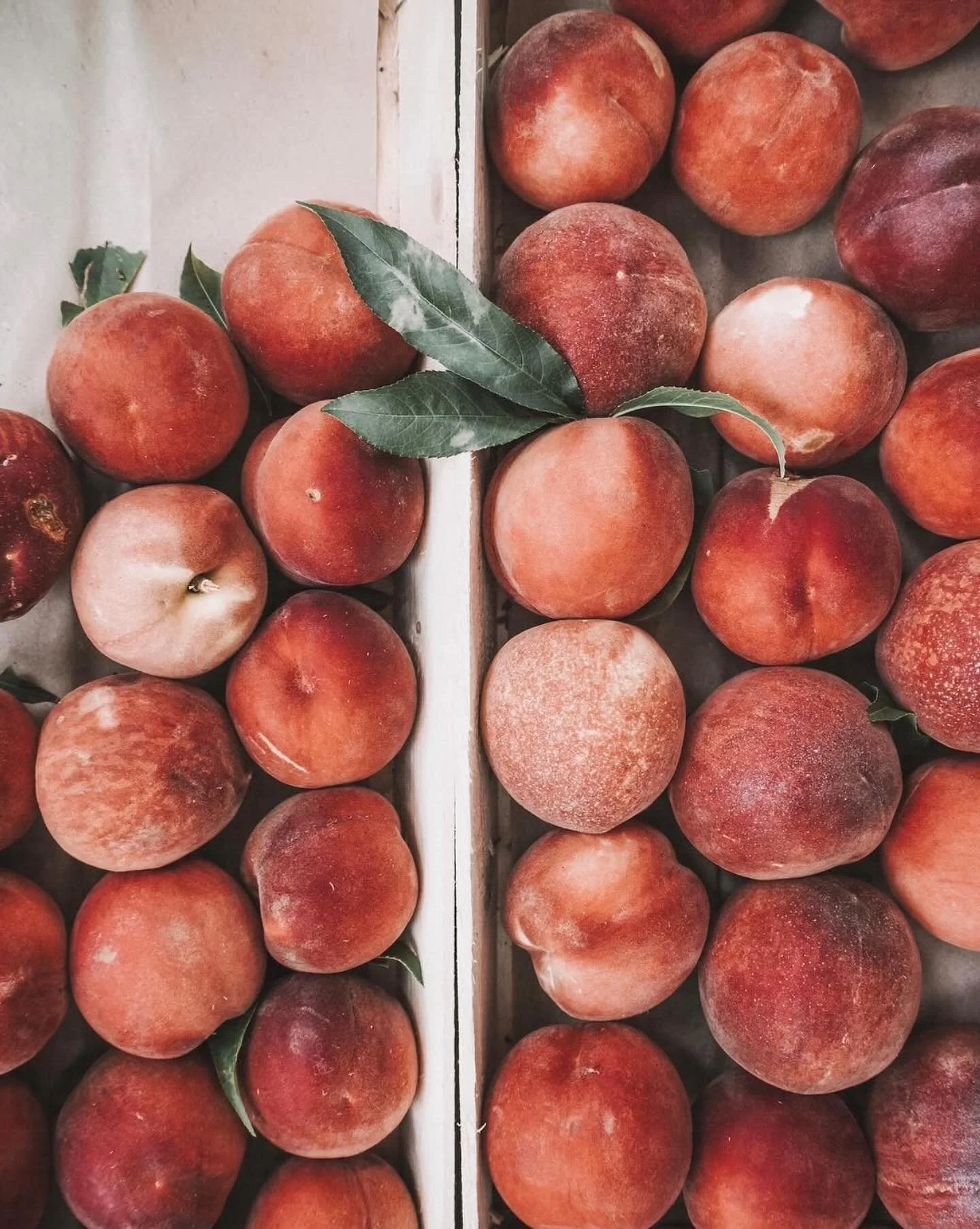 Nothing like stocking up on organic produce 🍑
A little reminder that nourishment can be beautiful, self-care, and simple.

#organicproduce #LunadelmarLiving #Lunadelmar #RootedInWellness #ConsciousCravings #LunadelmarApproved #ConsciousLiving #inten