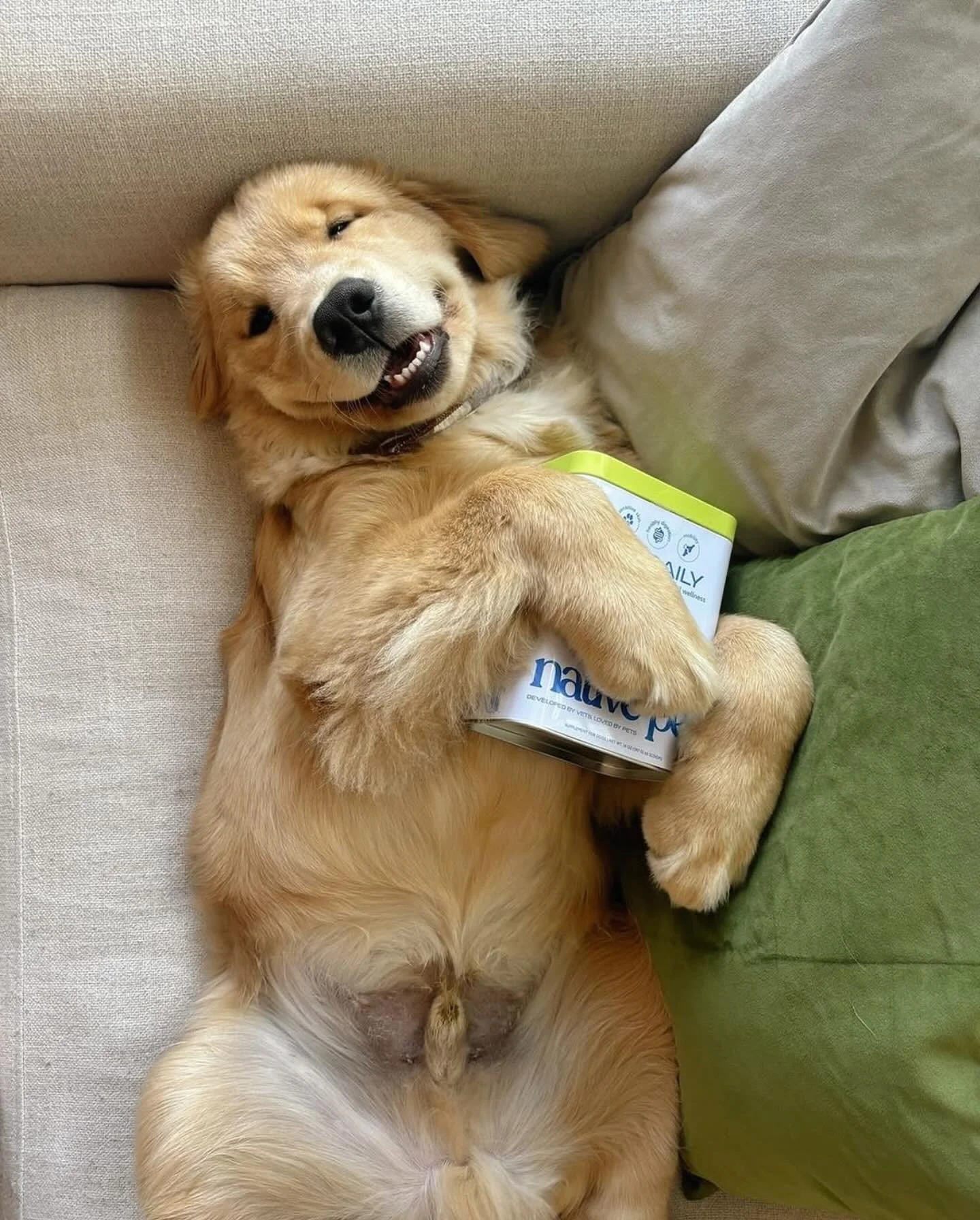 That smile says it all! ✨ This is the kind of happiness we live for. Pure, simple, and a little bit goofy. We love seeing our pups thrive, and a daily boost from Native Pet&rsquo;s &ldquo;The Daily&rdquo; helps keep that tail wagging and that smile w