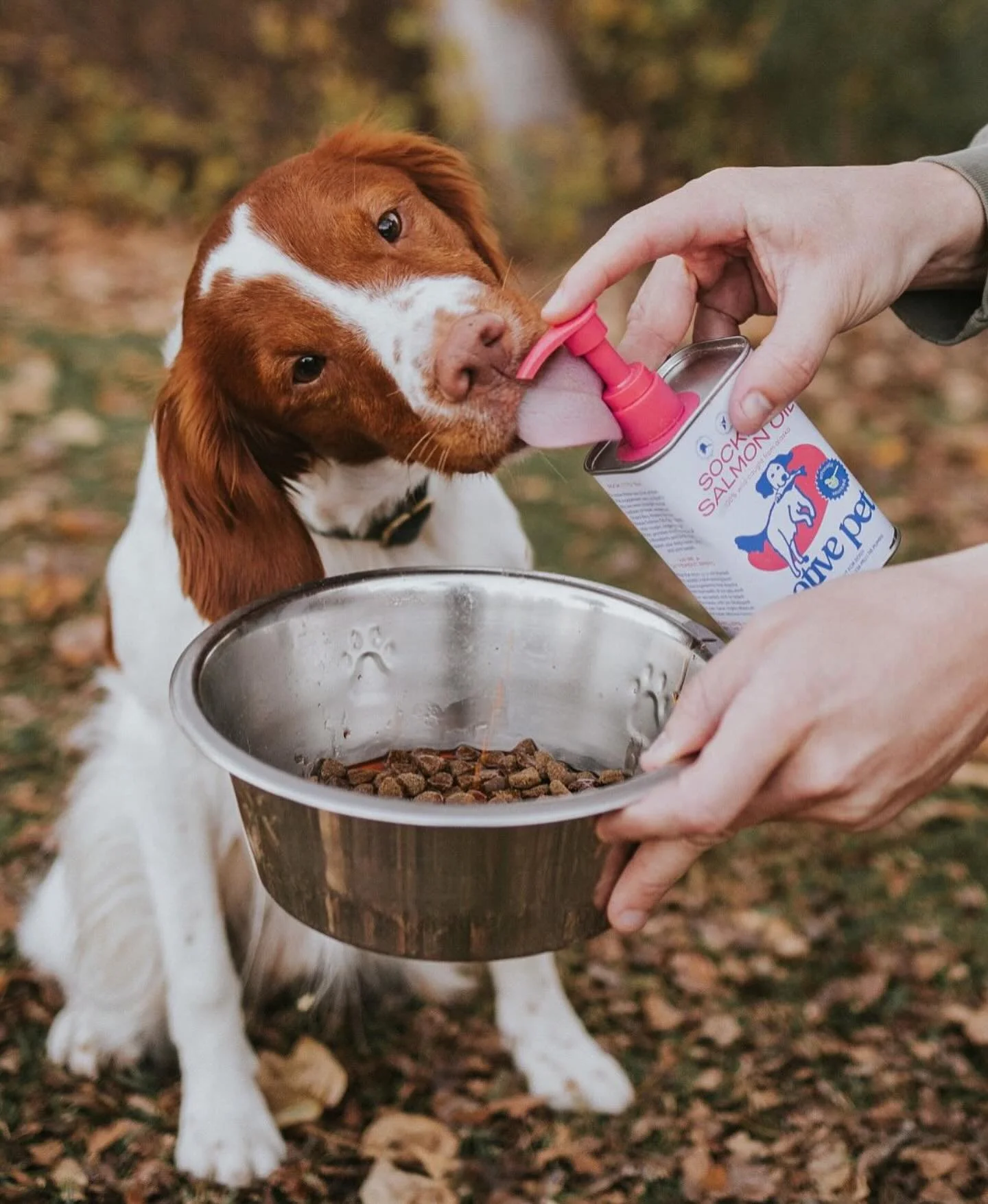 The secret to a happy, healthy pup? A little something extra in their bowl.  Our Sockeye Salmon Oil is a favorite for a reason! What&rsquo;s your dog&rsquo;s favorite mealtime treat?

📸: @capturingcaptain_ 

#DogNutrition #HappyPup #PetWellness #Soc