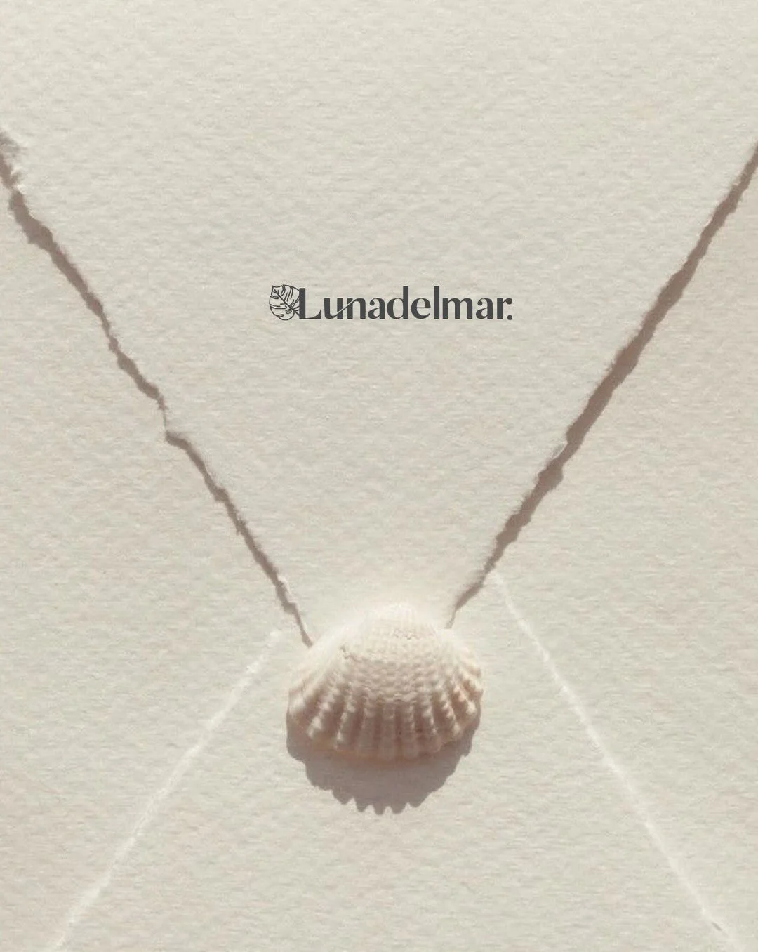 Your trusted source for nontoxic living. We&rsquo;ve done the research so you don&rsquo;t have to. Shop our selection of clean brands at the link in bio or comment &ldquo;Lunadelmar&rdquo; and we&rsquo;ll DM you the link directly.