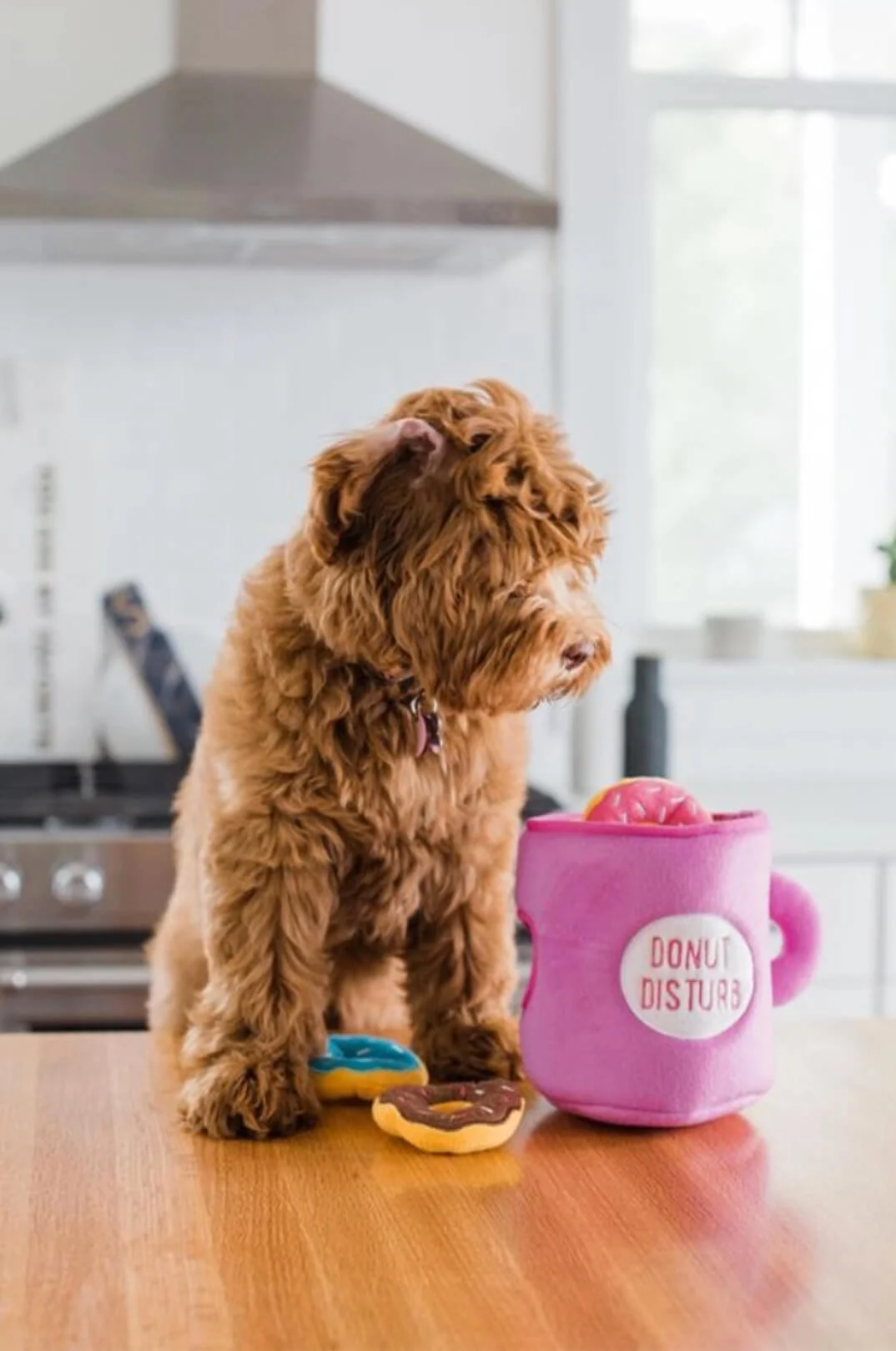 Zippy-Burrow® Coffee and Donutz_lunadelmar