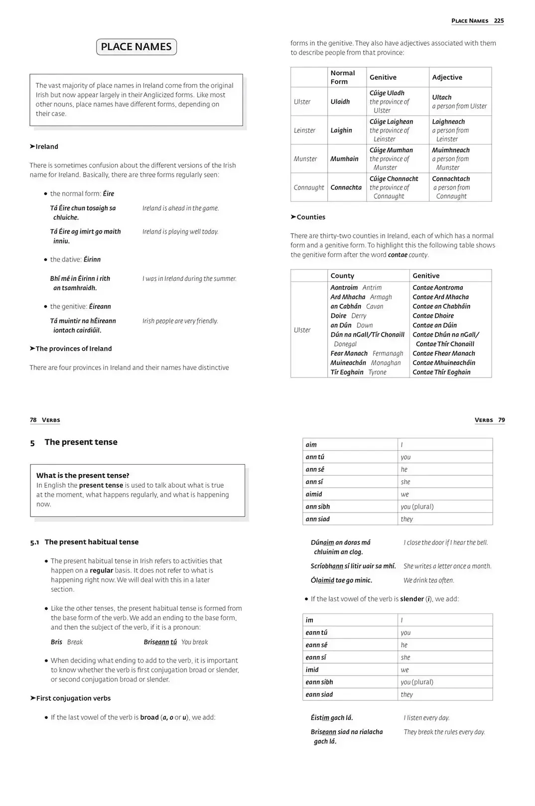 Irish-Grammer-Paperback-lunadelmar_03.webp