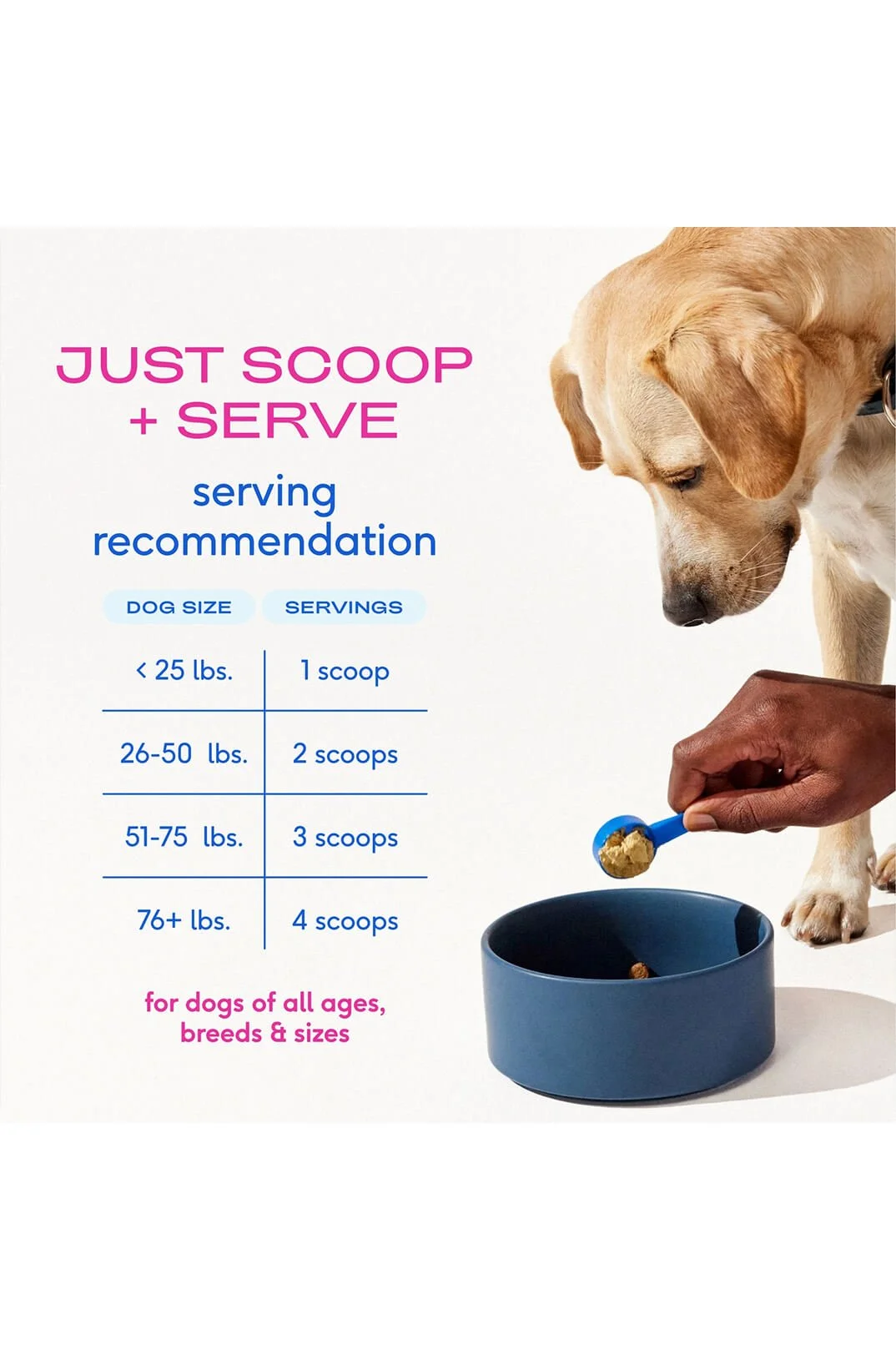 Native pet hip + Joint Powder