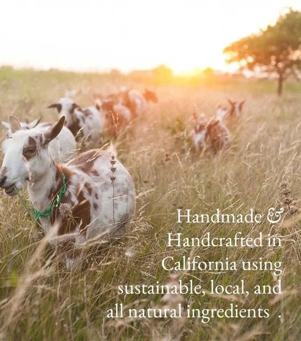 1a573da301c5ff51cd2355058f8169c23e7624f2040d6fbe7af6dabeb8d19880.jpg (Copy)